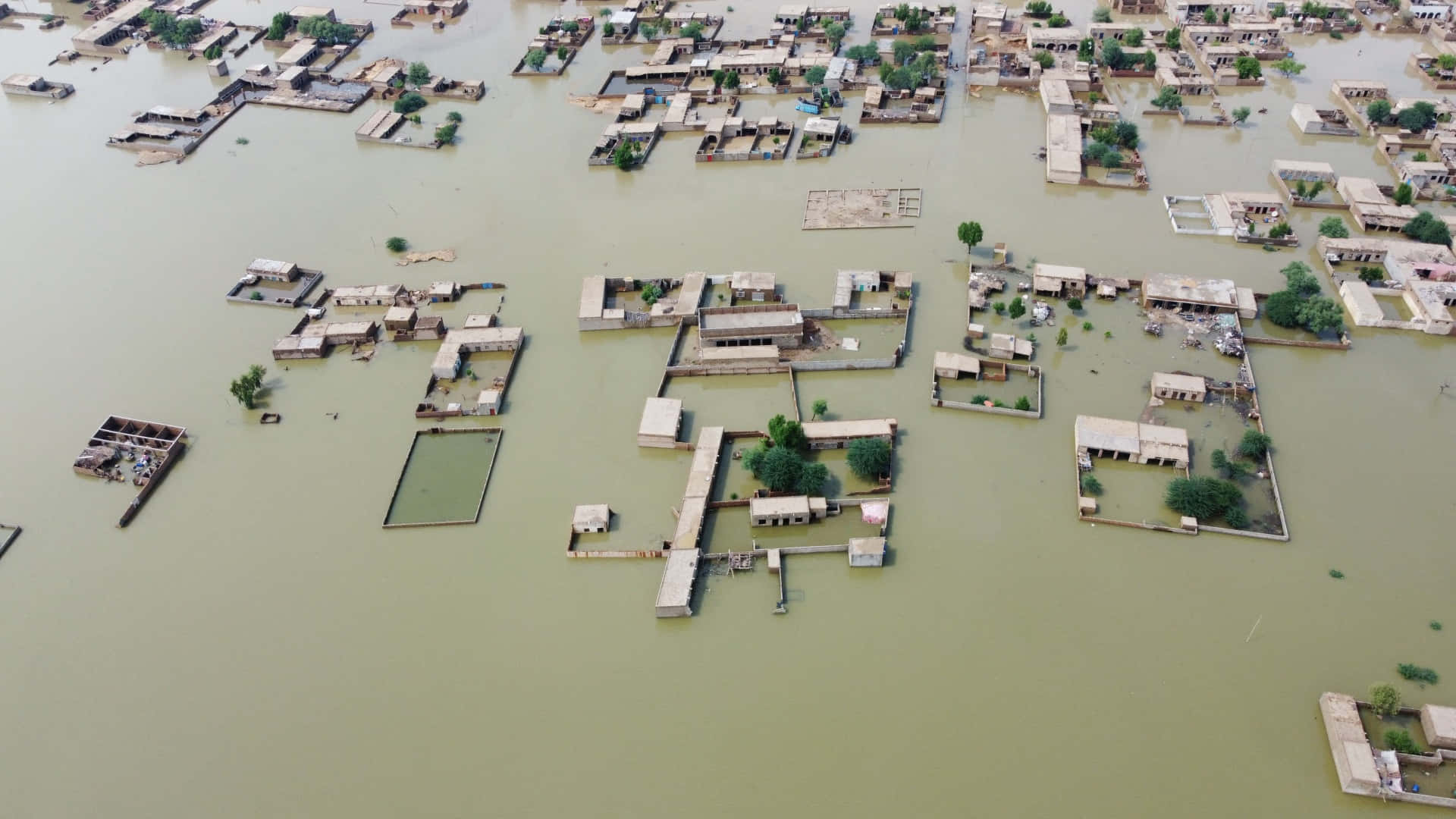Flood 桌布 壁紙 — 被洪水淹沒的村莊鳥瞰圖，房屋和樹木淹沒在渾濁的綠色水中。