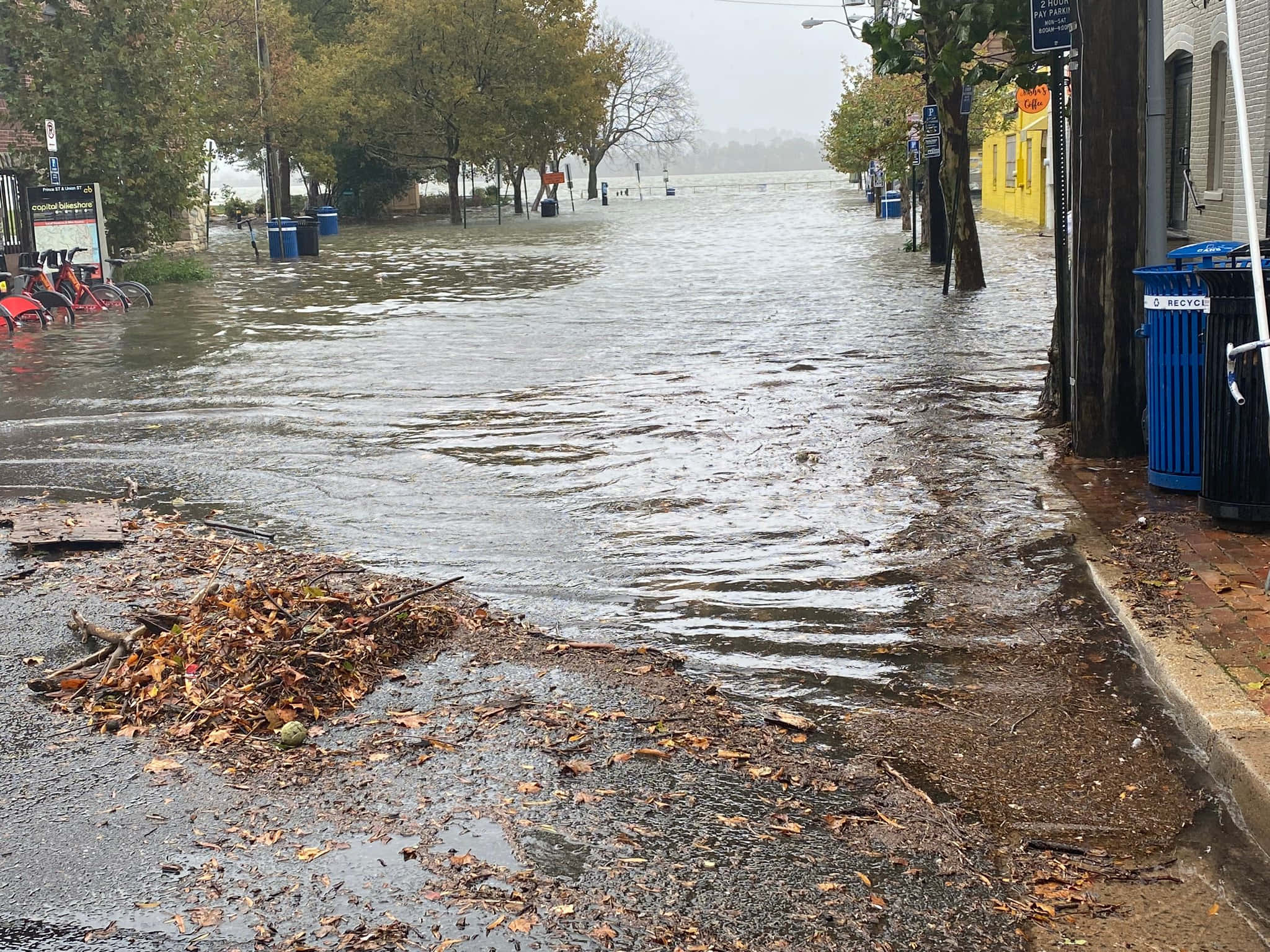 Flood 桌布 壁紙 — 被淹沒的城市街道，渾濁的積水覆蓋著人行道、樹木和垃圾桶，天空多雲。