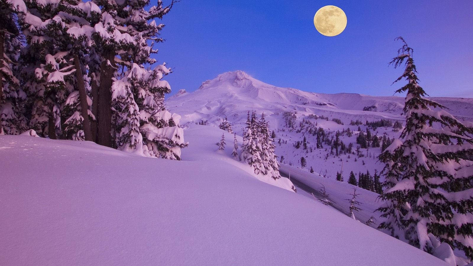 Snow Desktop 桌布 壁紙 — 被紫色暮光籠罩的雪山景觀，一輪滿月在松樹上方發光。