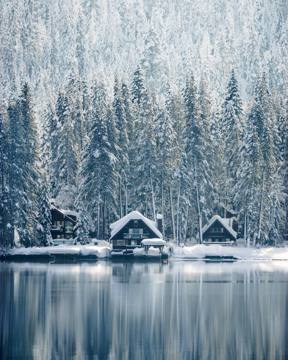 Winter House 桌布 壁紙 — 被雪覆蓋的小屋坐落在結冰的湖邊，在平靜的水面上完美倒映，四周環繞著茂密的常綠森林。