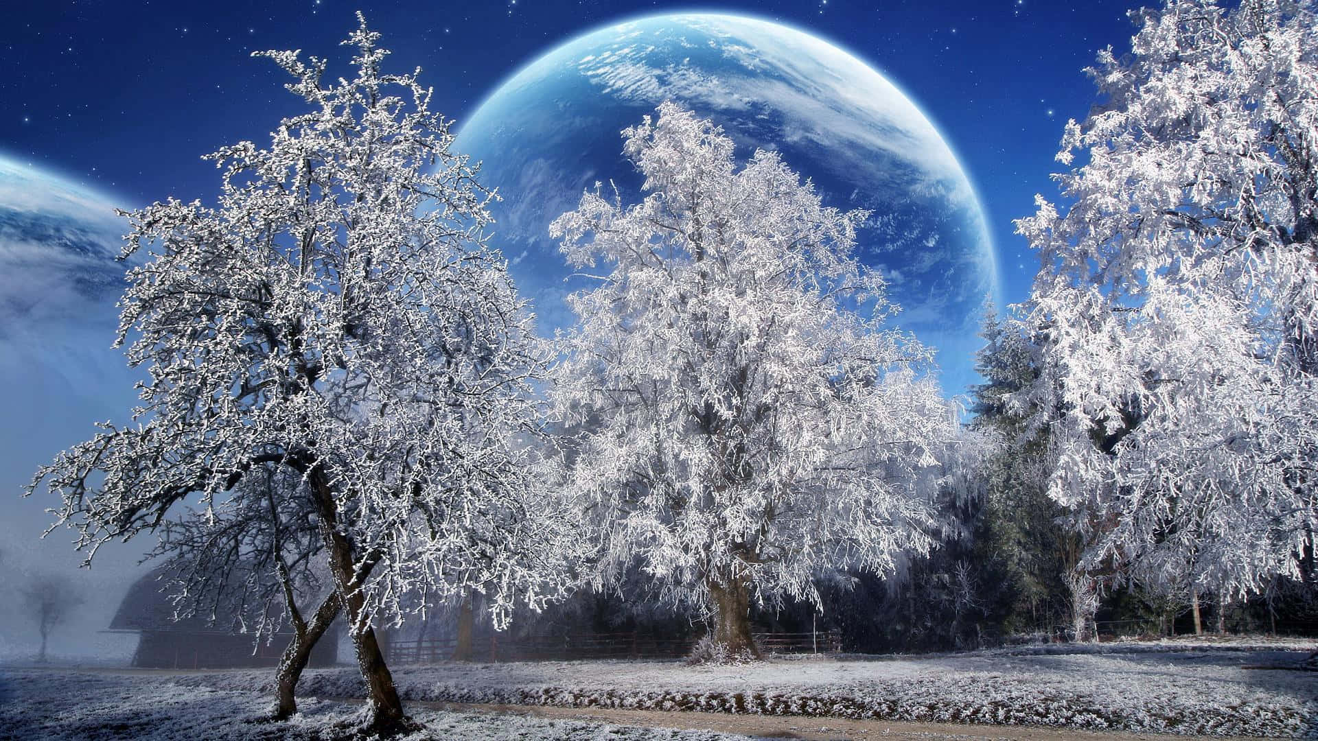1080p Winter 桌布 壁紙 — 被雪覆蓋的樹木矗立在繁星點點的夜空中一顆巨大的藍色行星前。