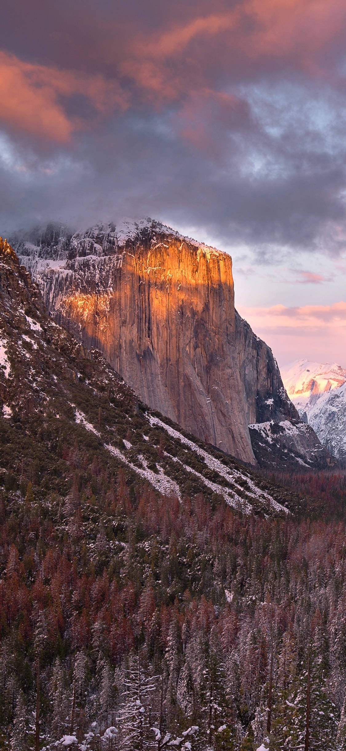 Yosemite iPhone 桌布 壁紙 — 被雪覆蓋的花崗岩懸崖沐浴在金色夕陽下，聳立在森林覆蓋的山谷之上，天空中有戲劇性的粉紅色和紫色雲彩。