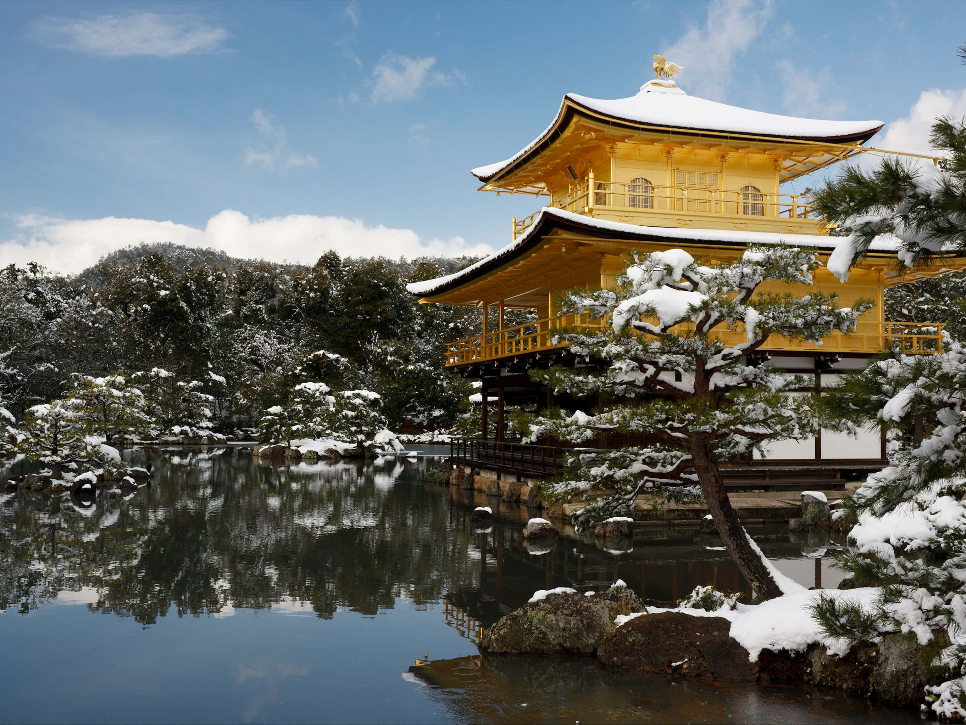 日式 桌布 壁紙 — 被雪覆蓋的金色亭閣寺廟，在晴朗的藍天下，平靜地倒映在一個被雪覆蓋的松樹環繞的寧靜池塘中。