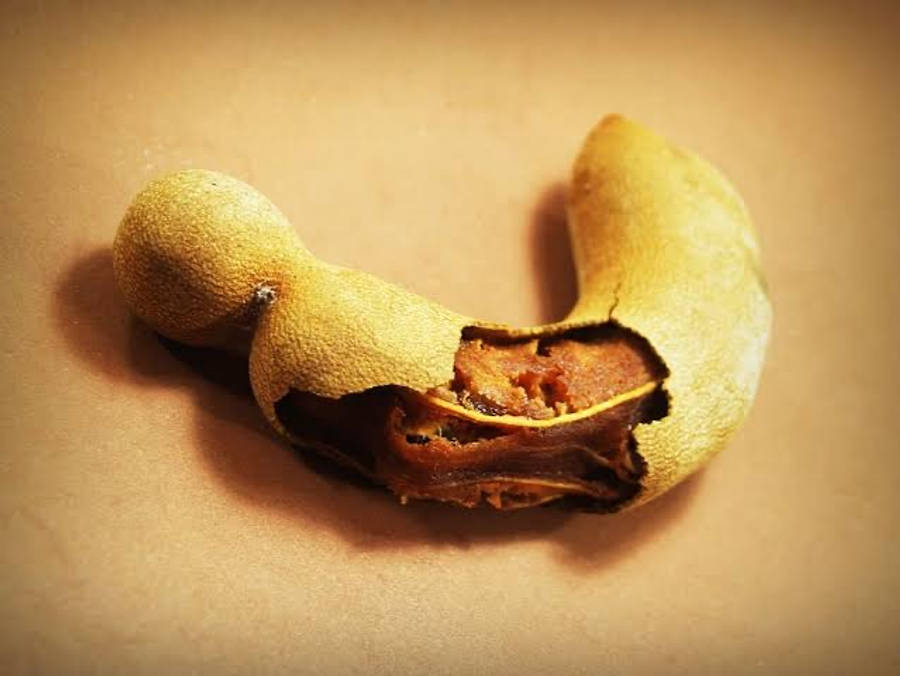 beans 桌布 壁紙 — 裂開的羅望子莢在溫暖的米色背景上露出其豐富的棕色種子。