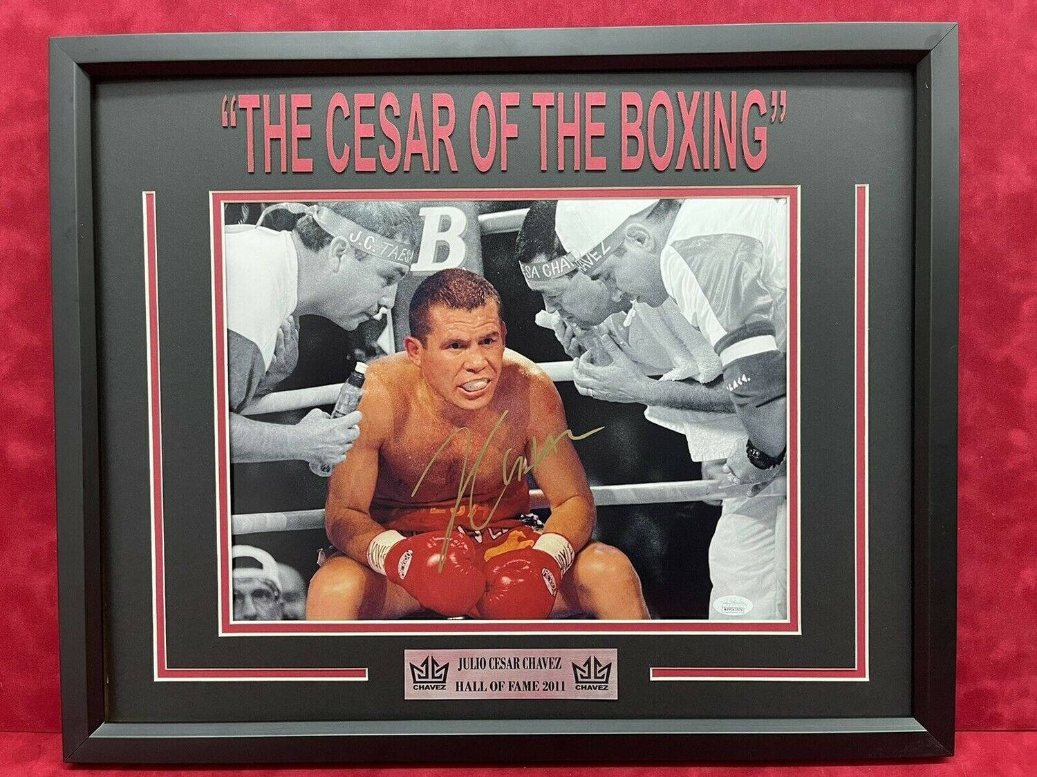 黑白 桌布 壁紙 — 裝裱黑白照片，拳擊手 Julio Cesar Chavez 在擂台上戴紅色手套，並在「The Cesar of the Boxing」標題下簽名。