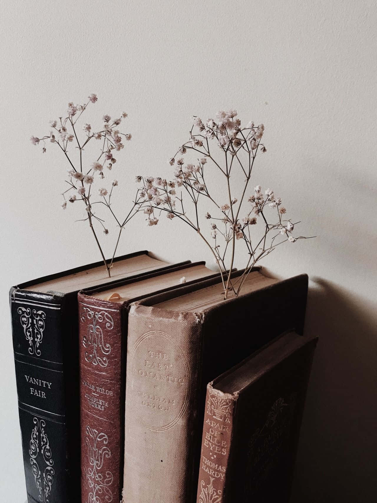 Dark Academia Aesthetic 桌布 壁紙 — 裝飾書脊的復古書籍，在柔和的白色牆壁上托著精緻的乾燥滿天星花朵。