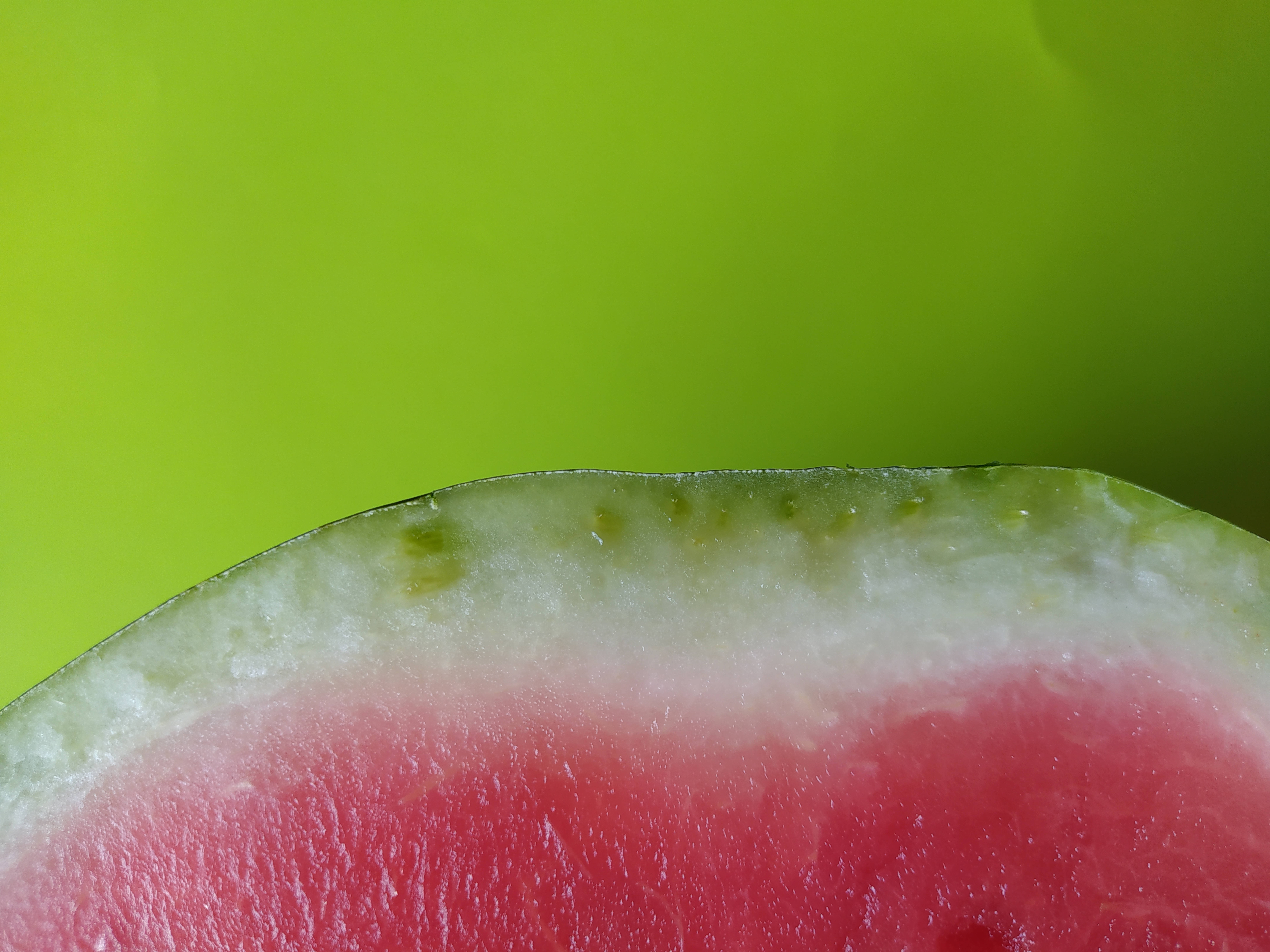 Watermelon 桌布 壁紙 — 西瓜片的特寫，展現多汁的紅色果肉和淡色果皮，背景為鮮豔的綠色。