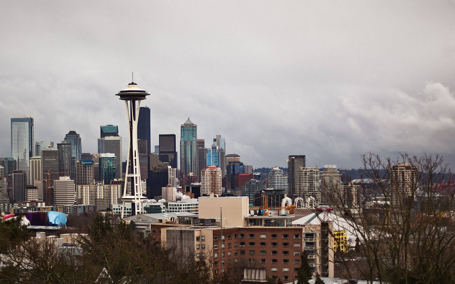 Seattle Skyline 桌布 壁紙 — 西雅圖天際線在陰天之下，太空針塔聳立於現代摩天大樓和前景的禿樹之上。