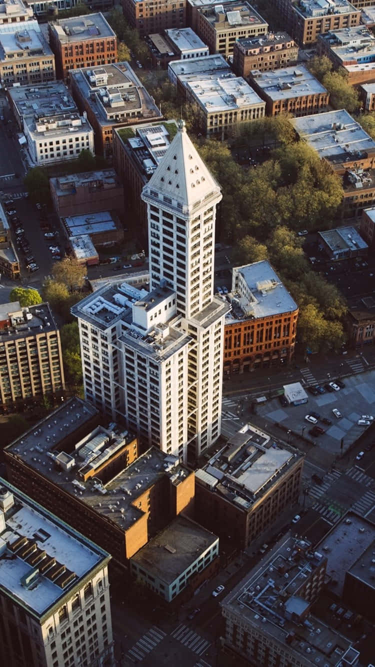 Best Seattle 桌布 壁紙 — 西雅圖標誌性史密斯塔的鳥瞰圖，沐浴在金色日落光芒中，周圍環繞著密集的城市建築和綠色樹木。