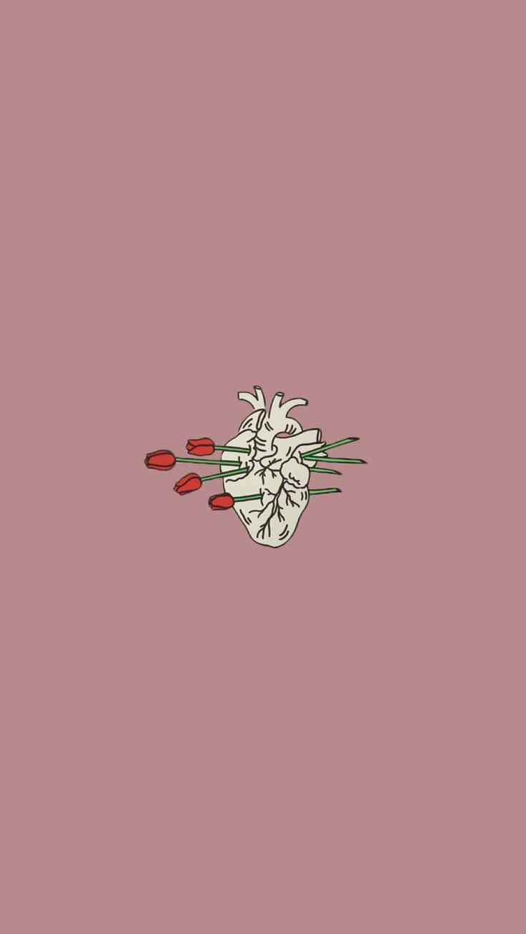 Roses 桌布 壁紙 — 解剖學心臟手持紅色鬱金香，背景為柔和粉紅色。