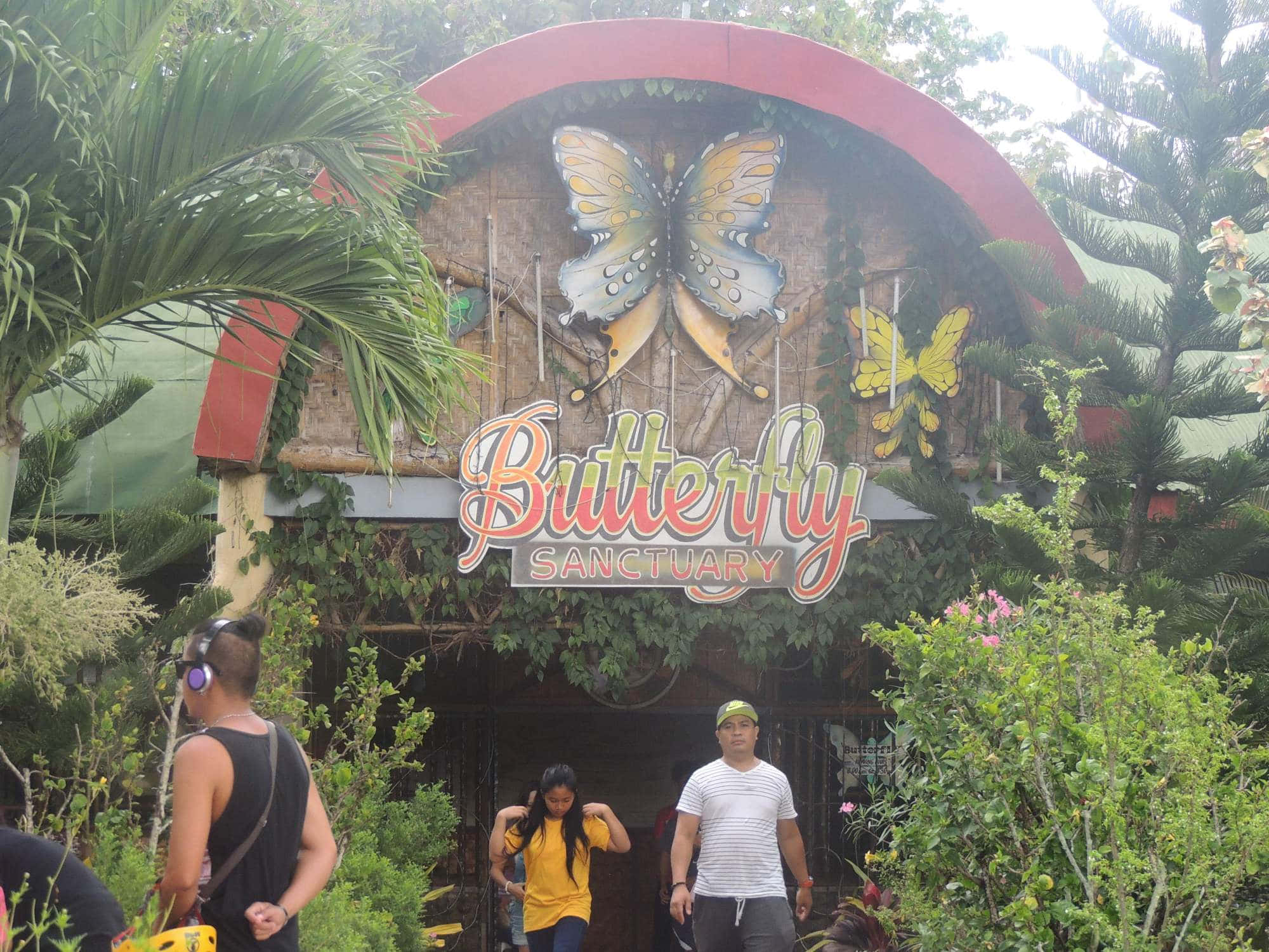 Butterfly Park 桌布 壁紙 — 訪客走向一個充滿活力的蝴蝶保護區入口，入口處裝飾著大型彩色蝴蝶雕塑和茂密的綠植。