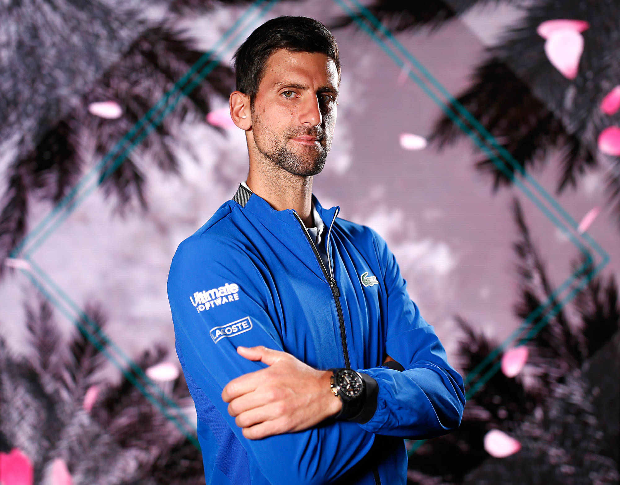 Novak 桌布 壁紙 — 認真的網球運動員身穿藍色外套，自信地交叉雙臂，背景是風格化的棕櫚樹和粉紅色花瓣。