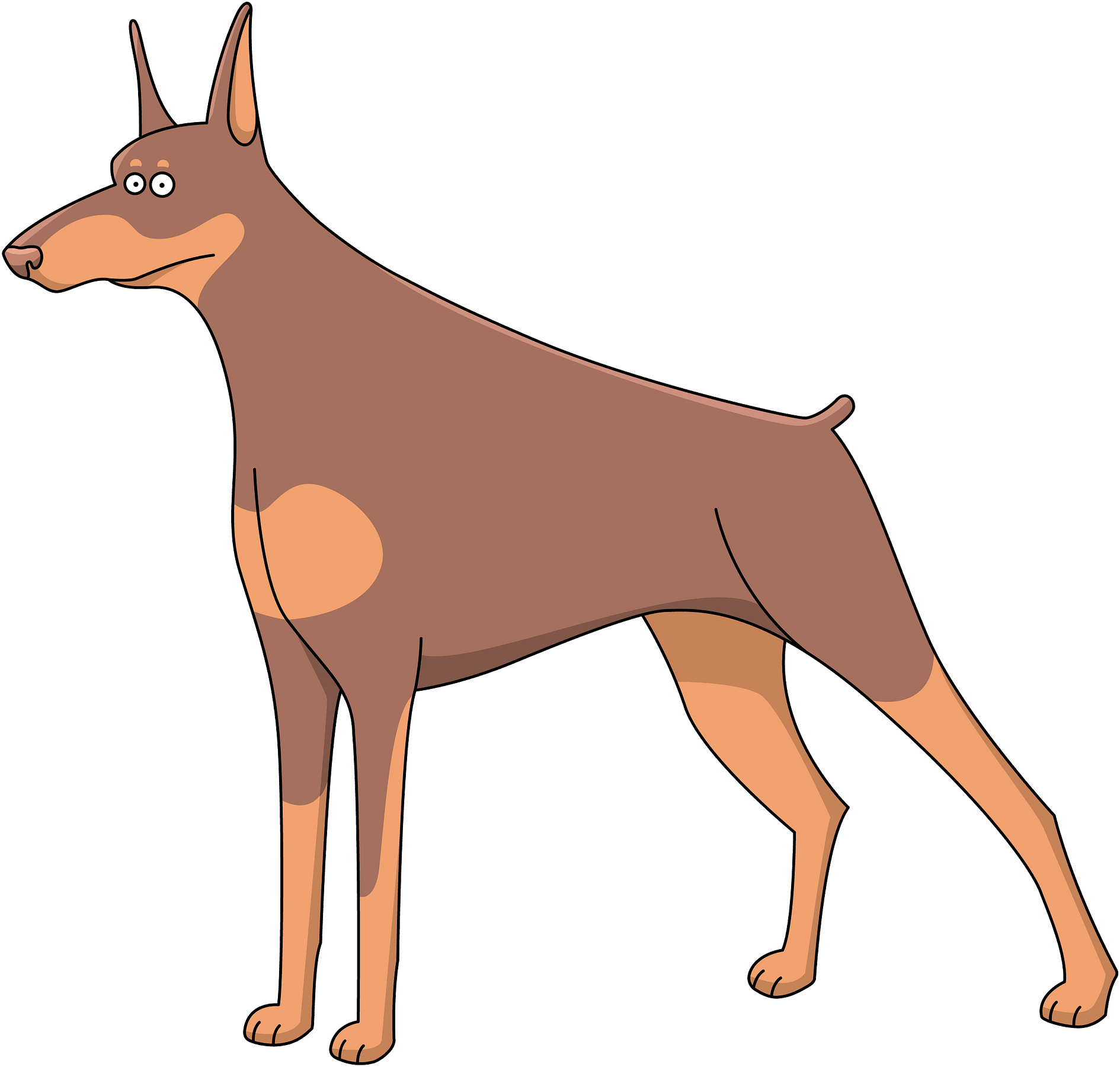 警戒杜賓犬卡通插畫 壁紙
