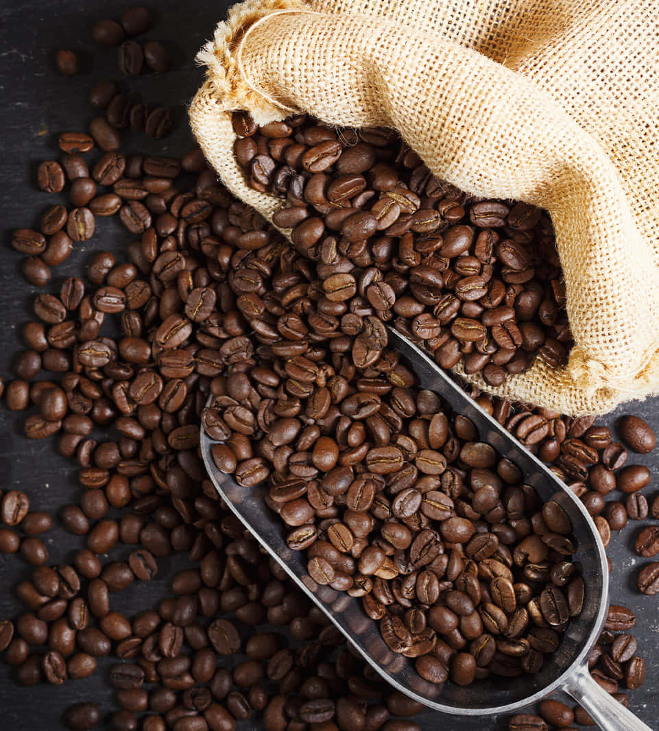 Coffee Beans 桌布 壁紙 — 豐富的棕色咖啡豆從麻布袋中灑落在深色表面上，金屬勺接住了一些豆子。