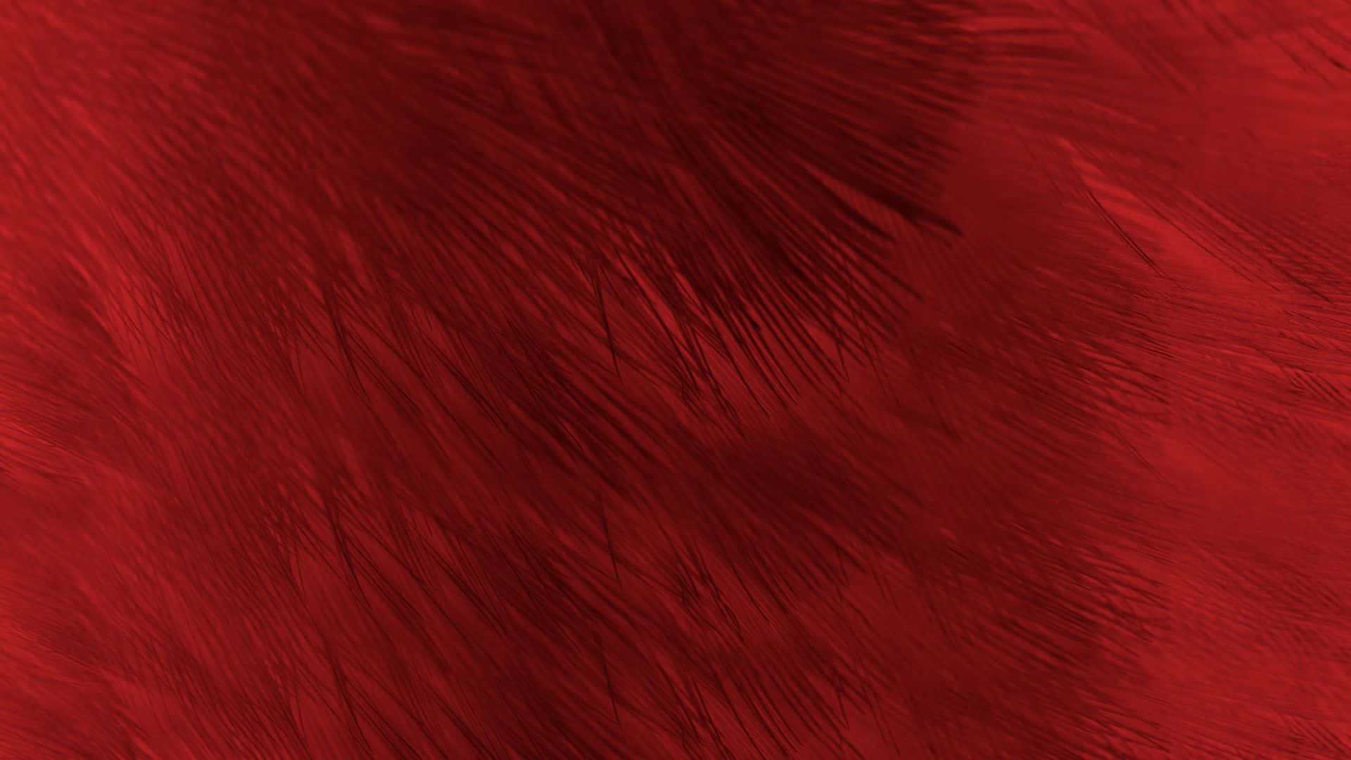 Red Texture 桌布 壁紙 — 豐富的紅色羽毛紋理，帶有深色條紋對角線流過畫面。