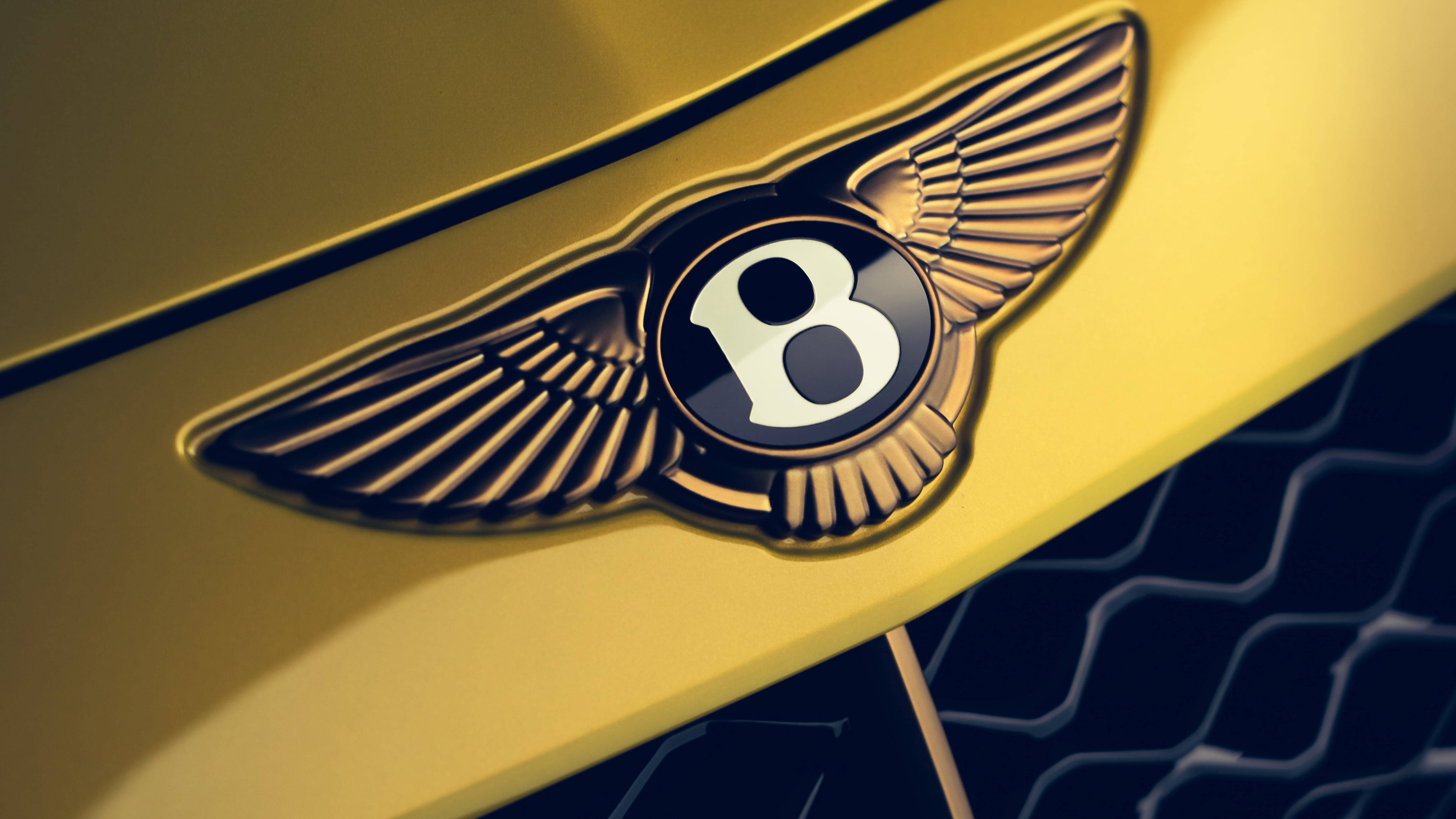 Golden 桌布 壁紙 — 豪華汽車引擎蓋上閃閃發光的金色 Bentley 徽章特寫，帶有展開的翅膀。