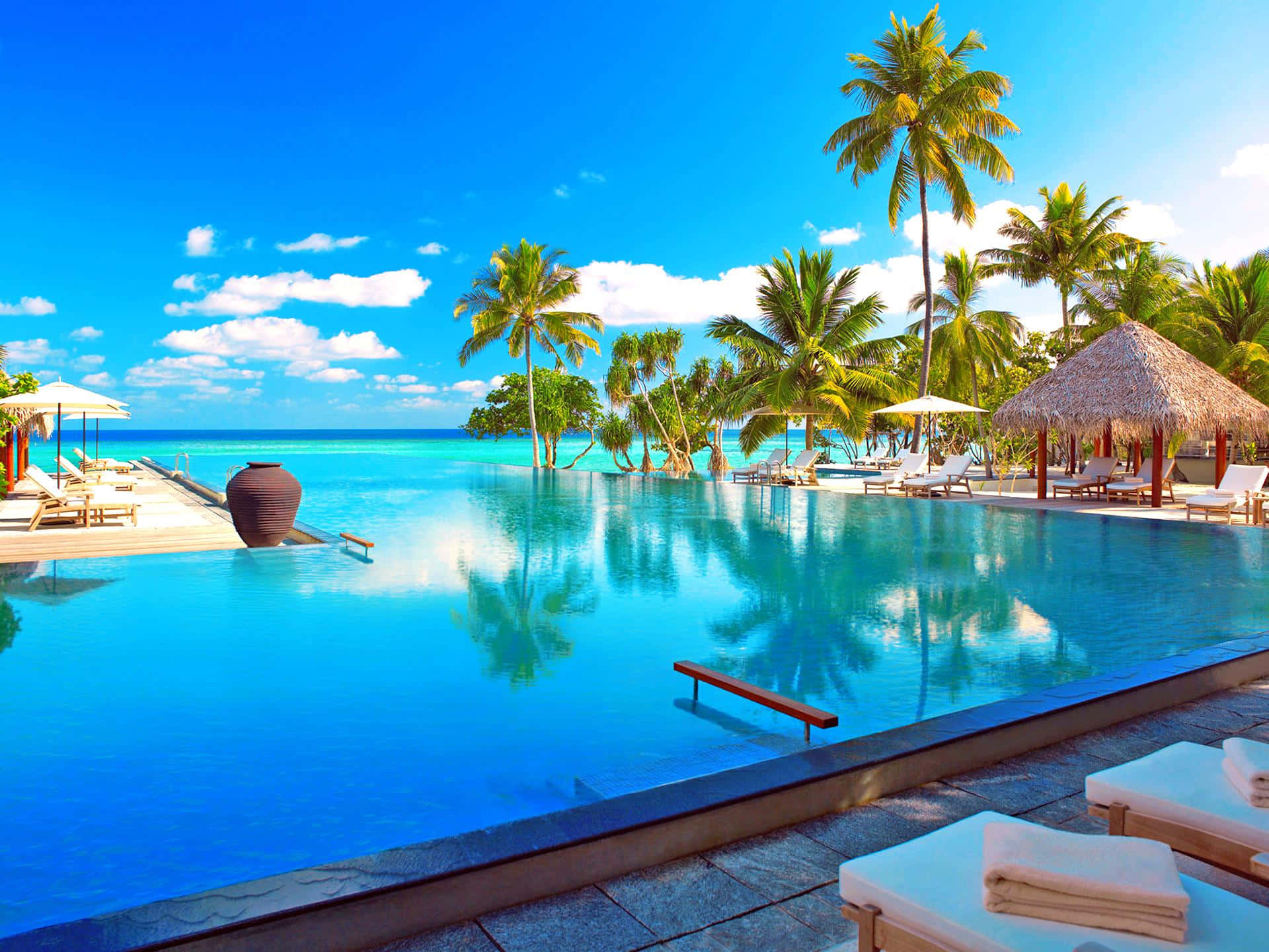 Maldives Beach 桌布 壁紙 — 豪華無邊際泳池映照著碧綠海洋和棕櫚樹，天空湛藍，白雲朵朵。