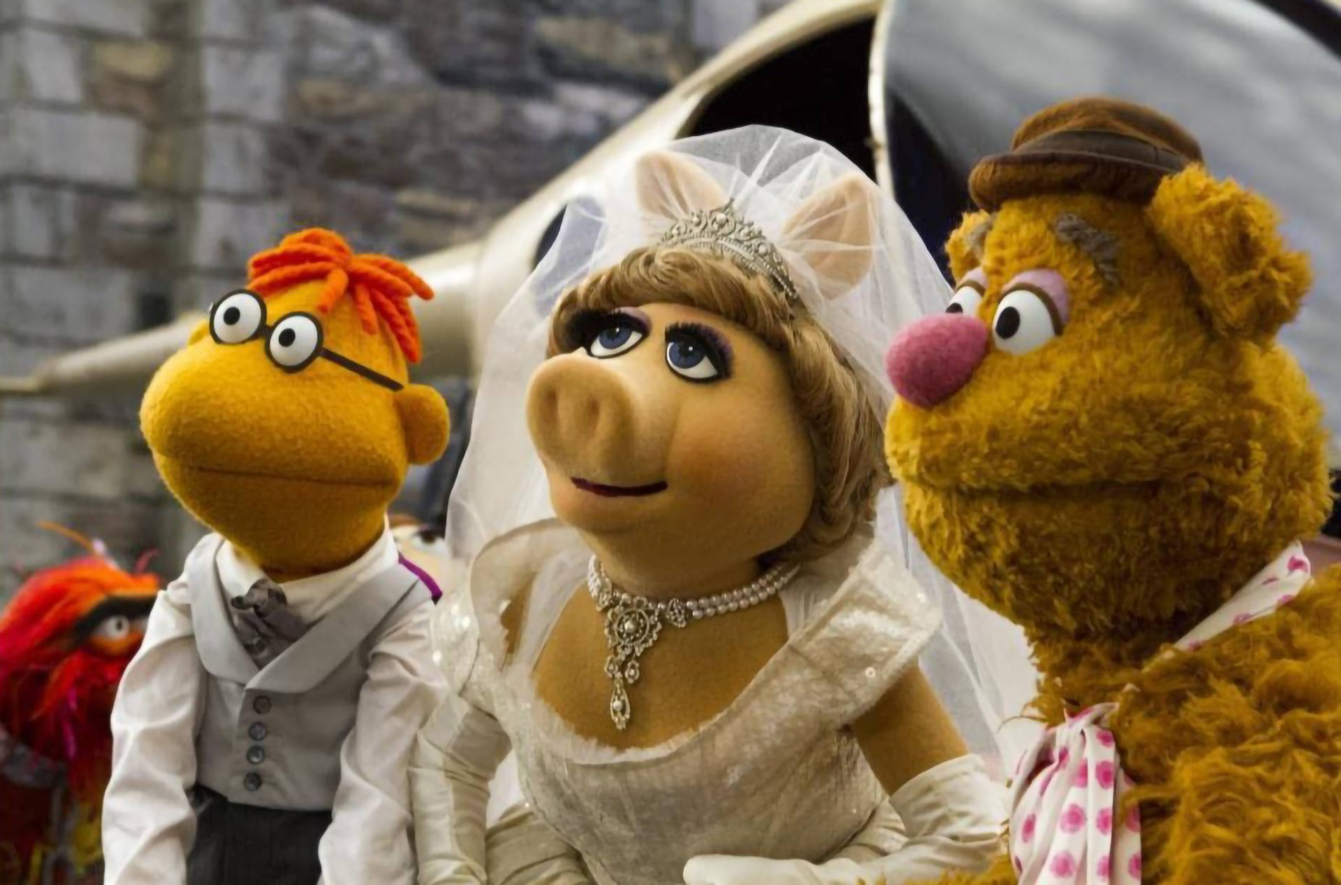muppets 桌布 壁紙 — 豬小姐穿著白色婚紗和頭紗，站在青蛙卡米特和福滋熊之間，舉行婚禮。