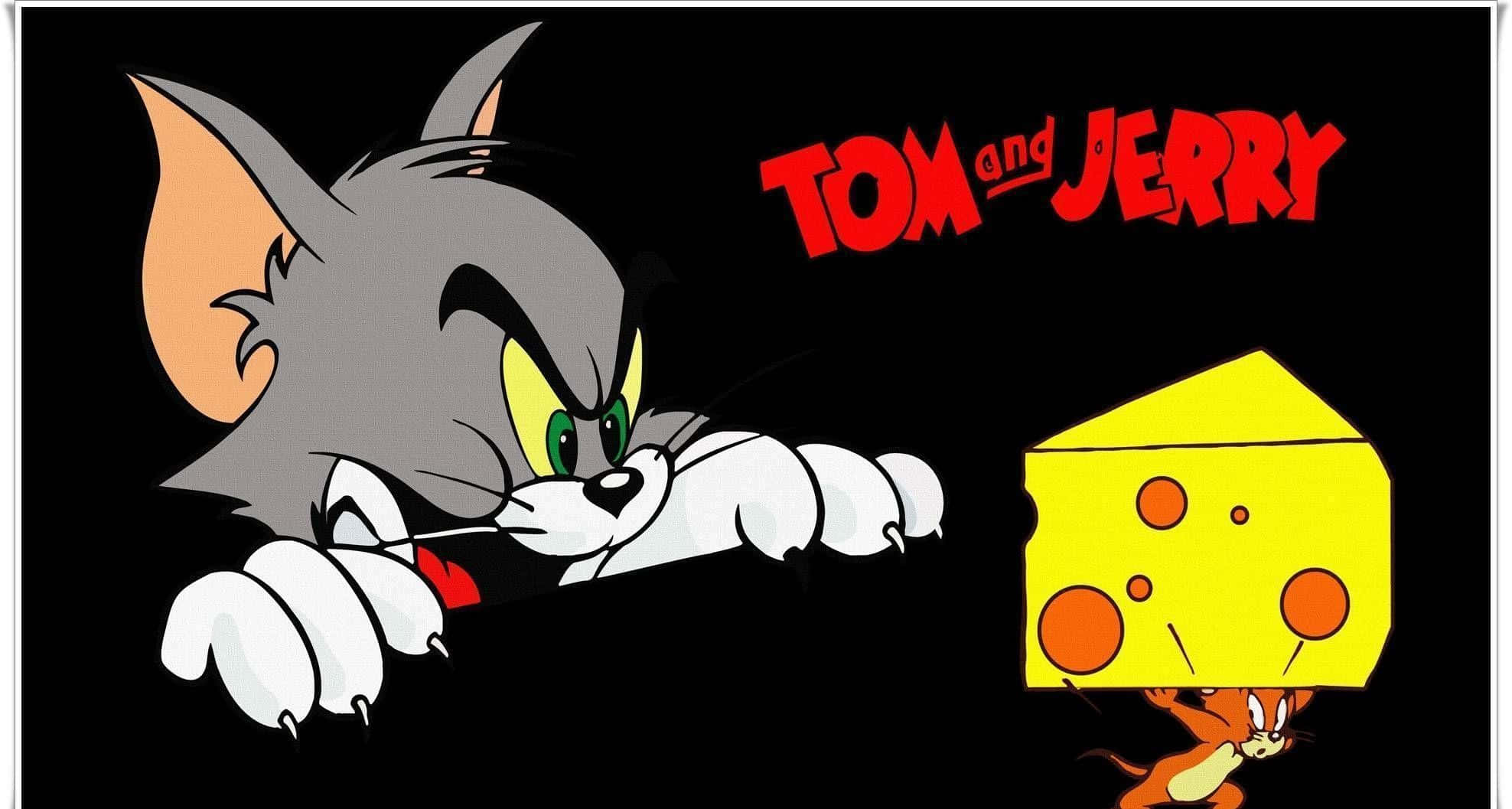 Tom And Jerry Funny 桌布 壁紙 — 貓湯姆伸出爪子，撲向一塊起司，傑瑞躲在起司後面，背景為黑色。
