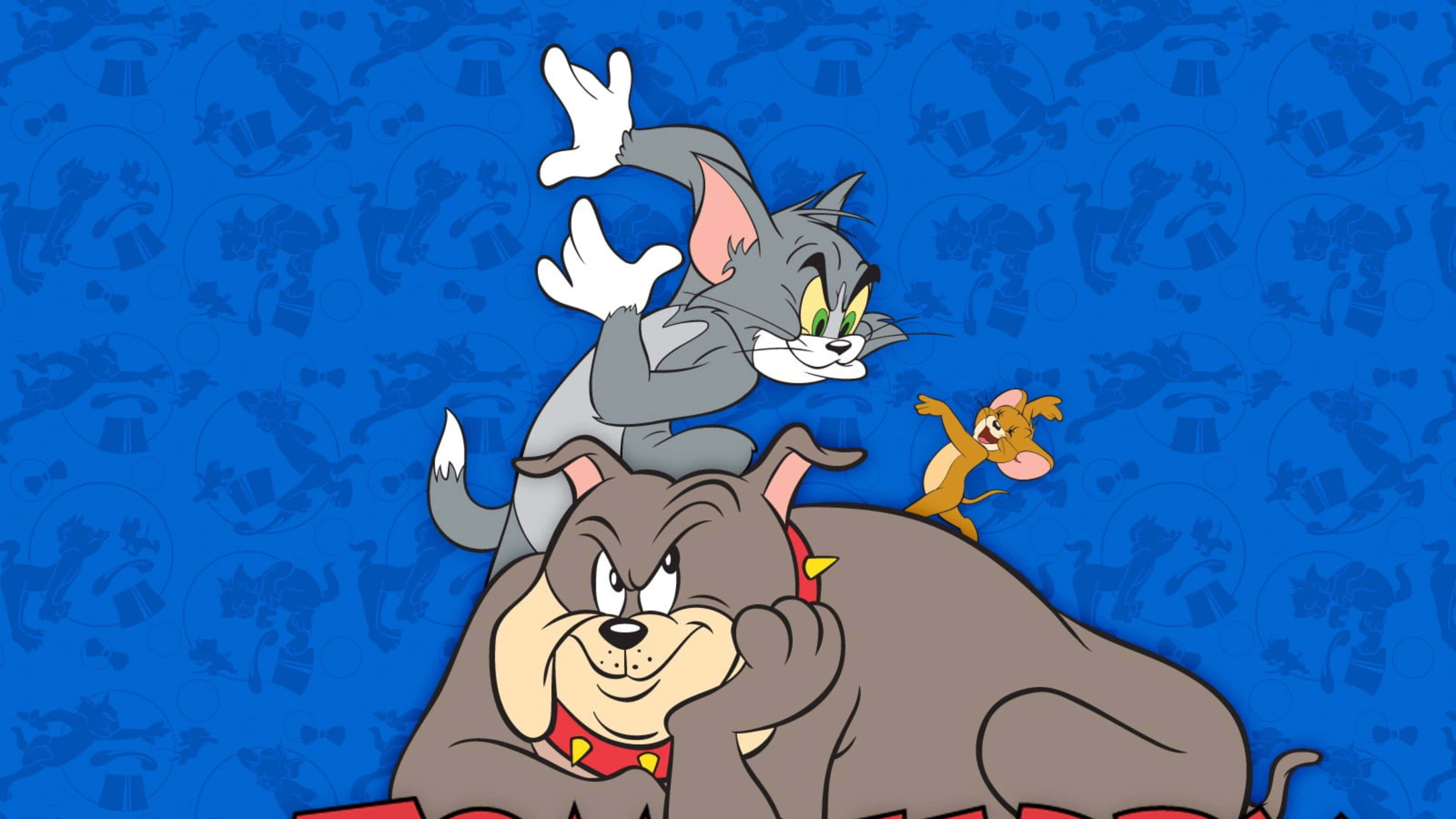 Tom And Jerry Funny 桌布 壁紙 — 貓湯姆和老鼠傑瑞在一隻鬥牛犬身上互相追逐，背景是藍色圖案。