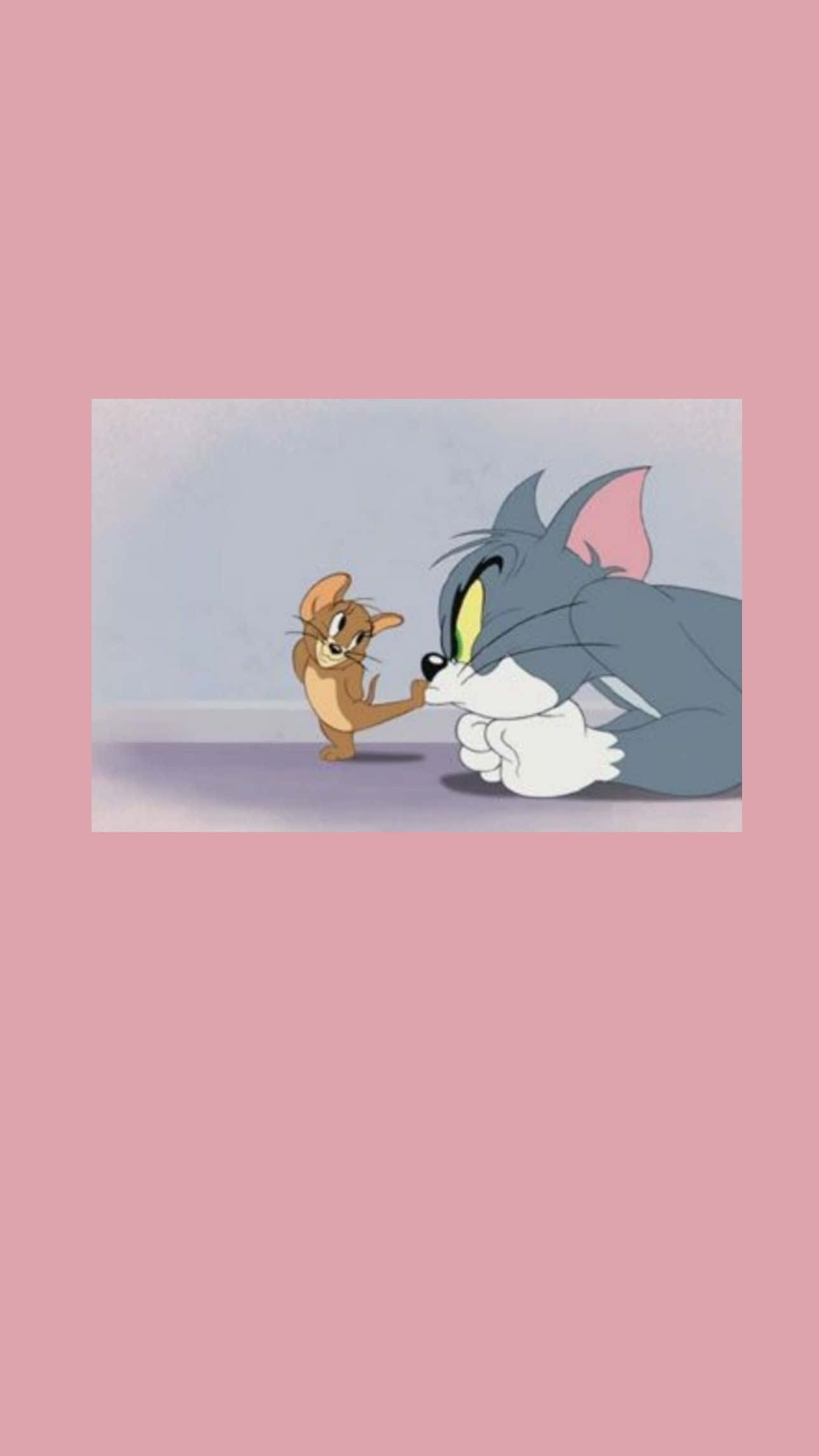 Tom And Jerry Funny 桌布 壁紙 — 貓湯姆和老鼠傑瑞在柔和的粉紅色背景上進行經典卡通對峙。