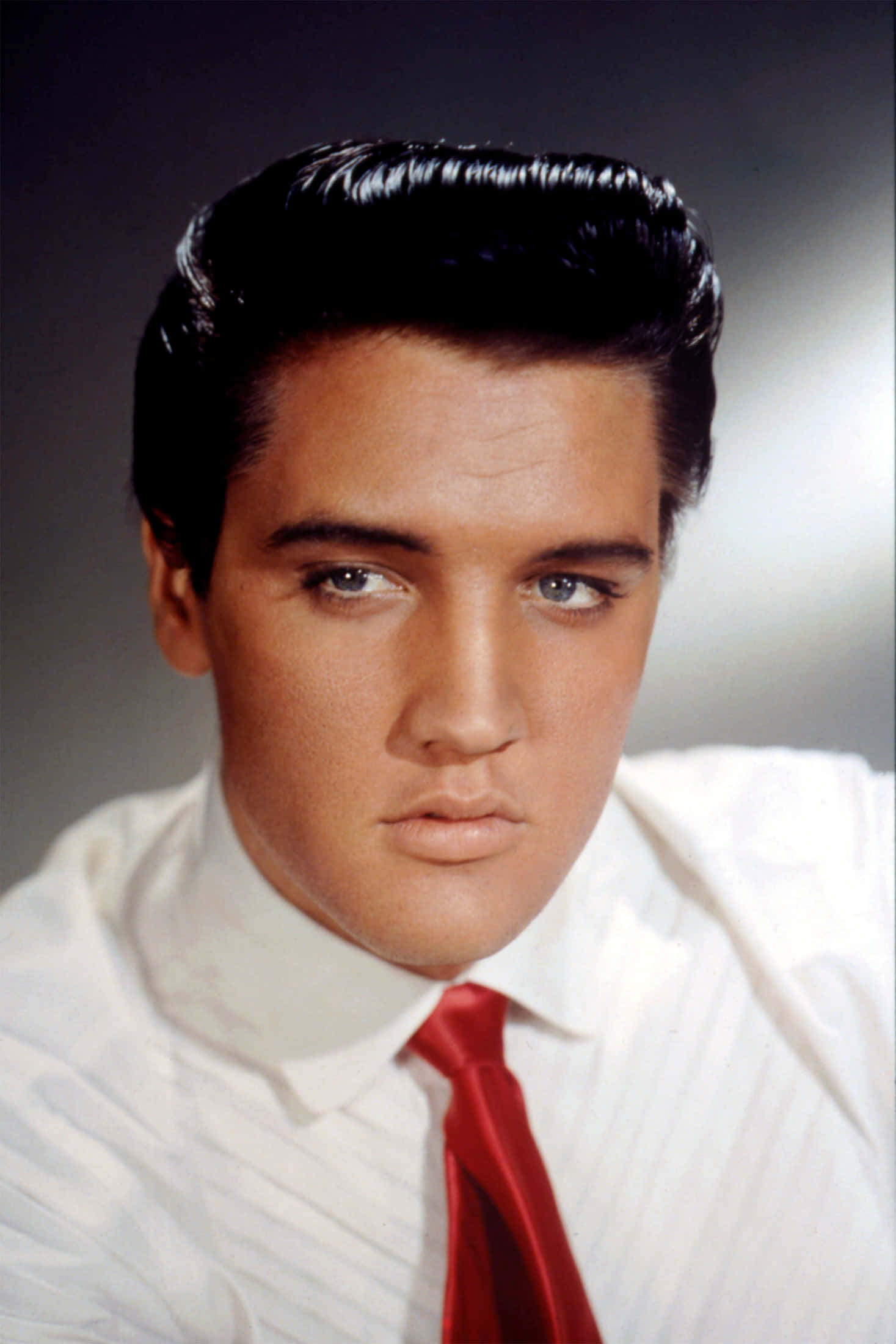 Elvis 桌布 壁紙 — 貓王艾維斯·普里斯萊的特寫肖像，頭髮向後梳，穿著白襯衫紅領帶，背景是柔和灰色。