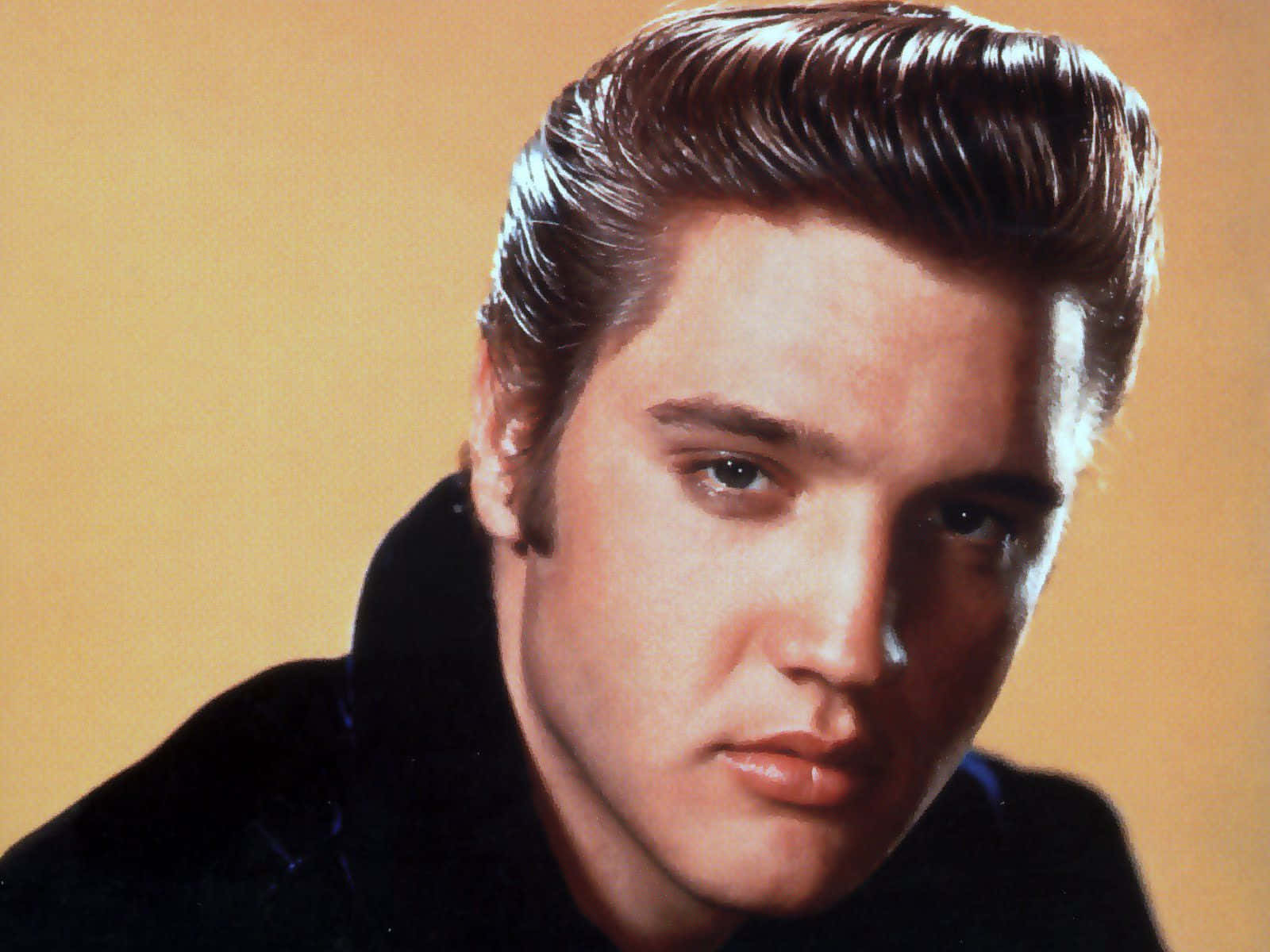 Elvis 桌布 壁紙 — 貓王艾維斯·普里斯萊的特寫肖像，帶有光澤的蓬巴杜髮型和強烈的眼神，背景是溫暖的米色。