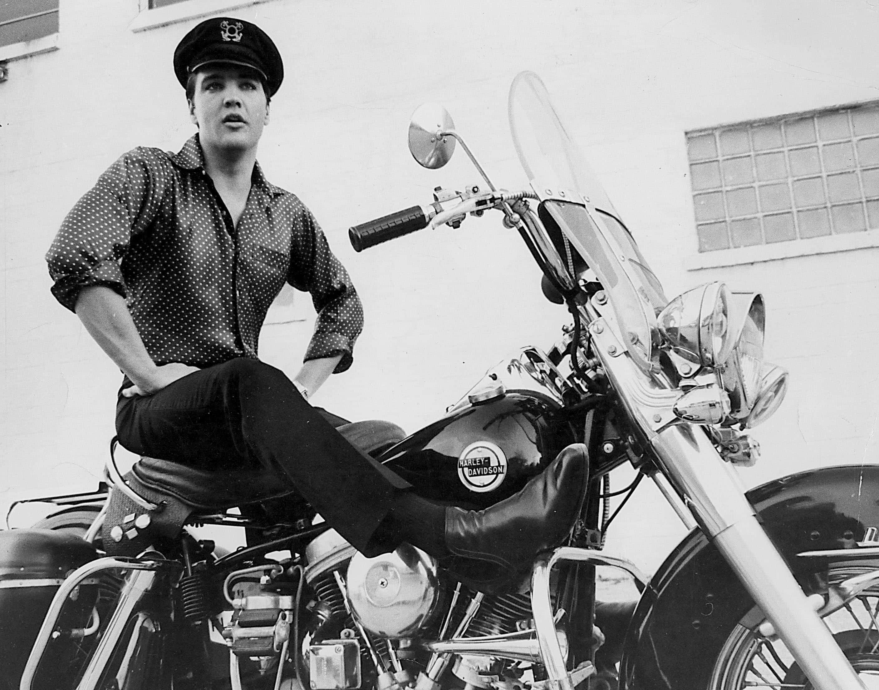 貓王騎摩托車 壁紙