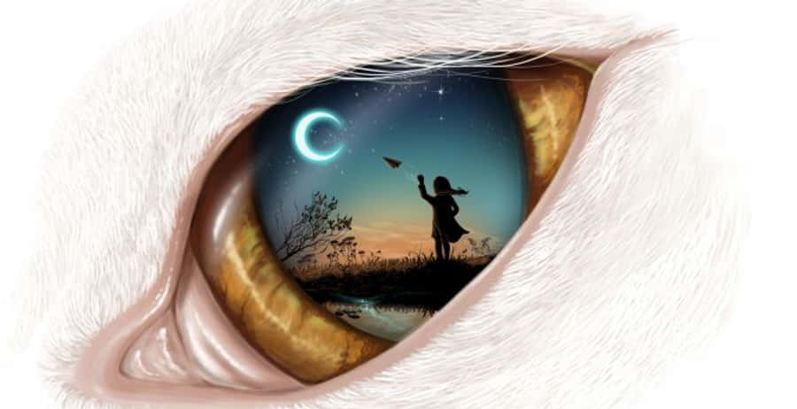 夢幻 桌布 壁紙 — 貓眼特寫，反射出一個孩子在彎月和星星下放風箏。