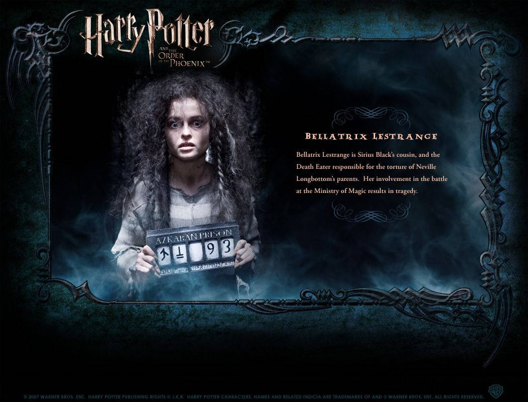 Sirius Black 桌布 壁紙 — 貝拉·雷斯壯從阿茲卡班監獄的入案照中凝視，照片鑲在華麗的深色裝飾框內，背景是迷霧藍色。