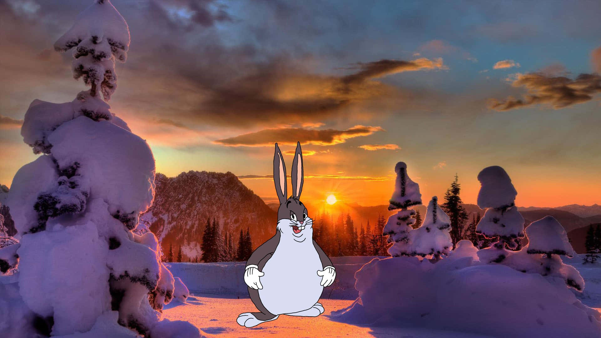 Big Chungus 桌布 壁紙 — 賓尼兔在日落時分橙色的天空和白雪覆蓋的松樹的雪山景觀中愉快地站立。