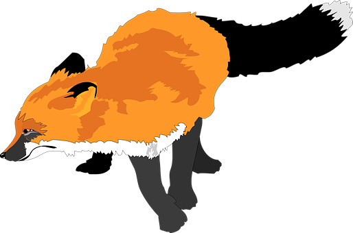 赤狐插畫 壁紙