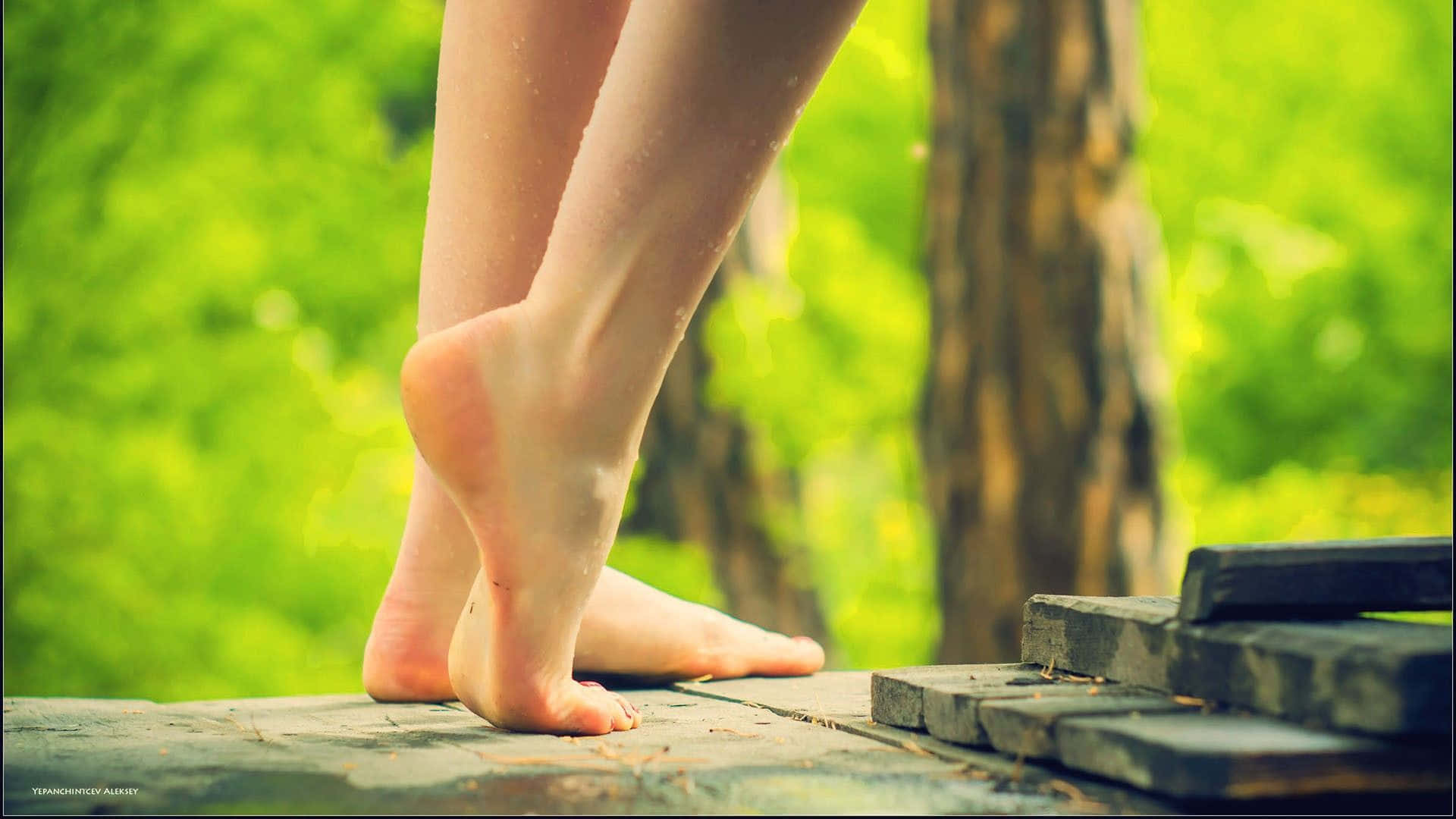 feet 桌布 壁紙 — 赤腳上帶有水珠，站在風化的木板上，背景是鬱鬱蔥蔥的綠色森林。