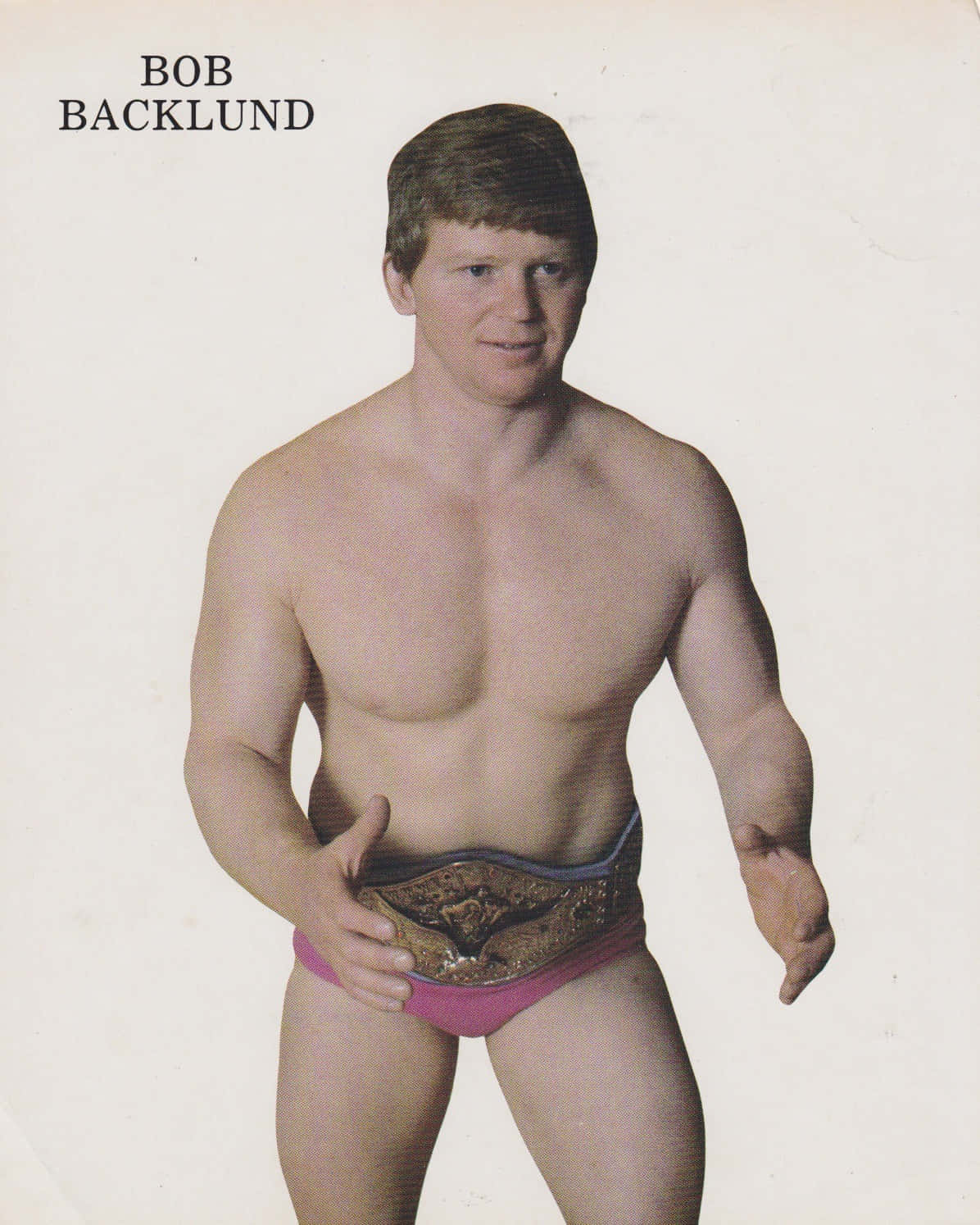 WWE 桌布 壁紙 — 赤裸上身的摔角手 Bob Backlund 自信地擺姿勢，穿著粉紅色短褲和冠軍腰帶，背景是簡單的攝影棚。