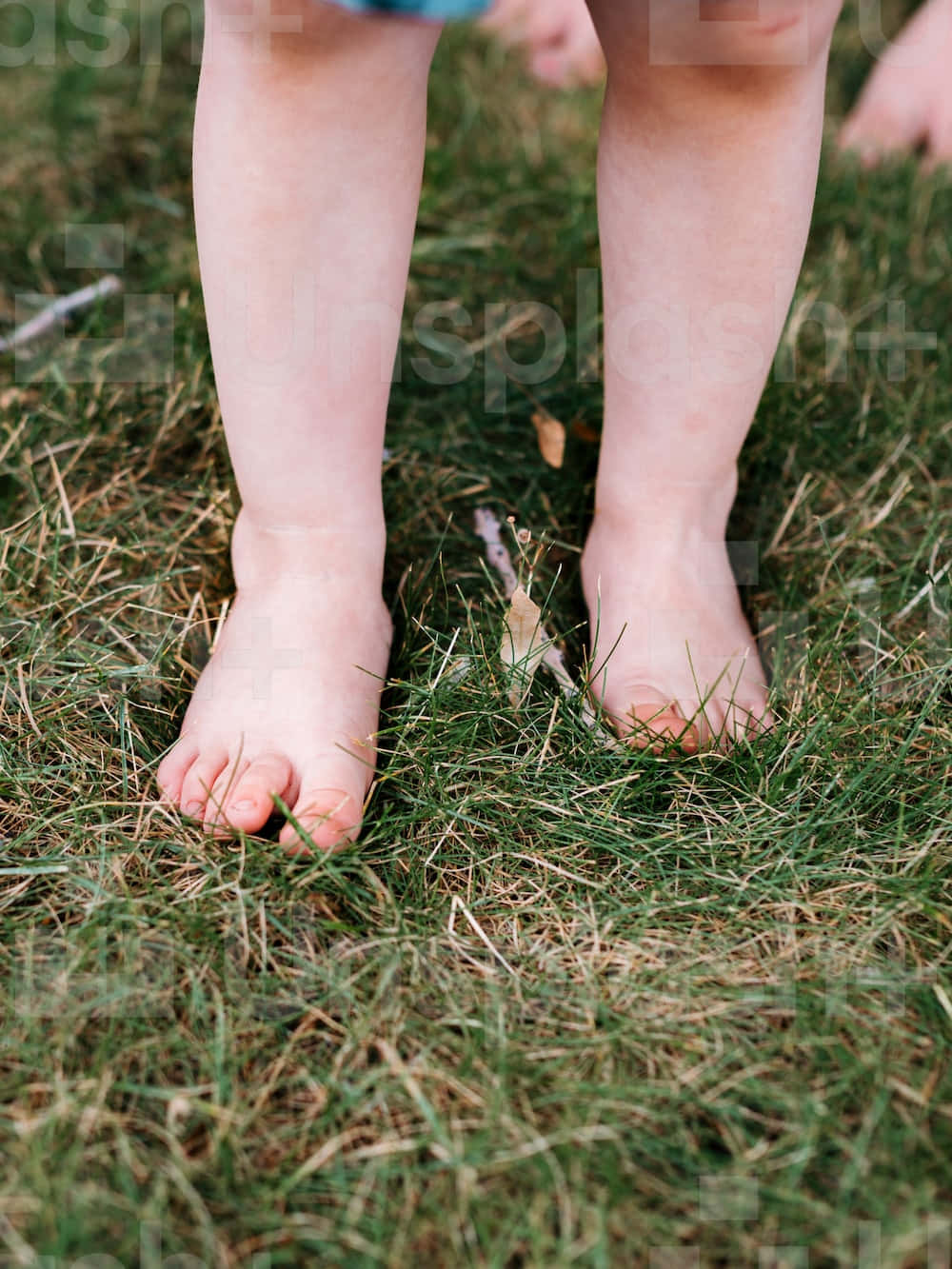 toddler 桌布 壁紙 — 赤裸幼兒腳踩在綠色和棕色草地上，散落著乾葉的特寫。