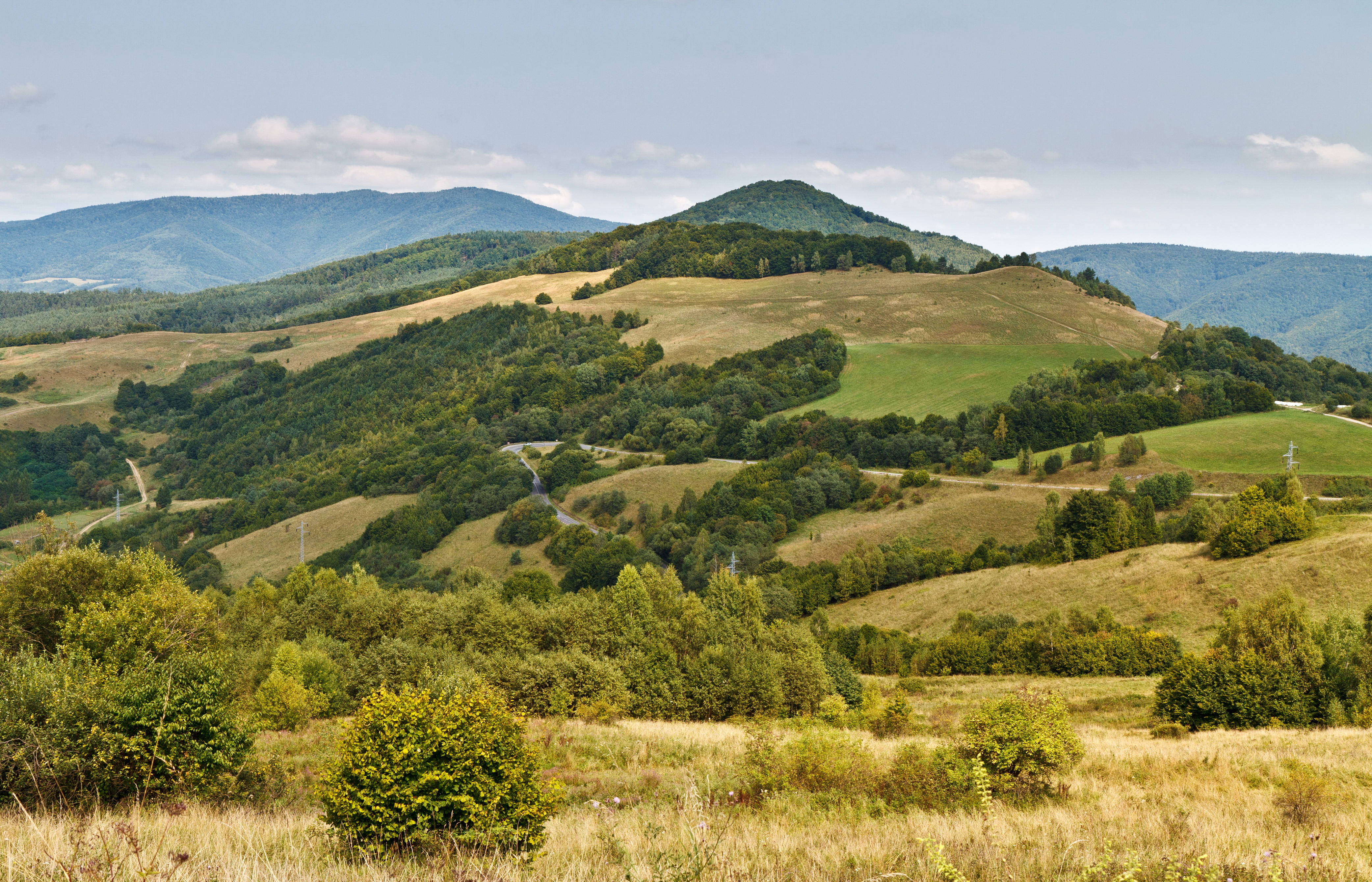 Slovakia 桌布 壁紙 — 起伏的綠色山丘點綴著樹木和蜿蜒的道路，天空部分多雲。