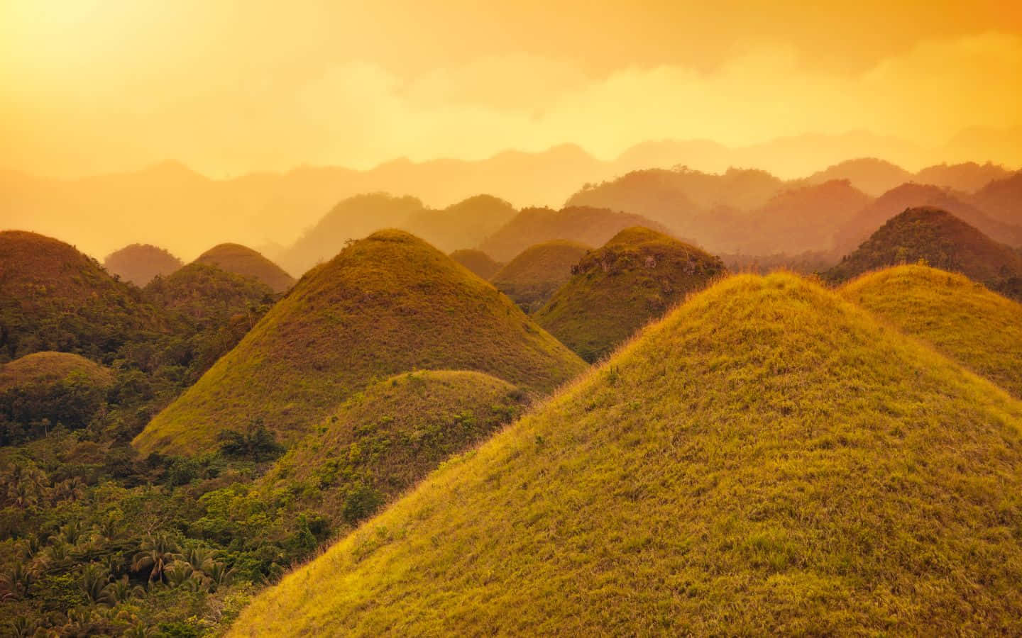 1440x900 桌布 壁紙 — 起伏的草地山丘沐浴在金色的日落光芒中，層疊的山巒剪影營造出寧靜而夢幻的風景。
