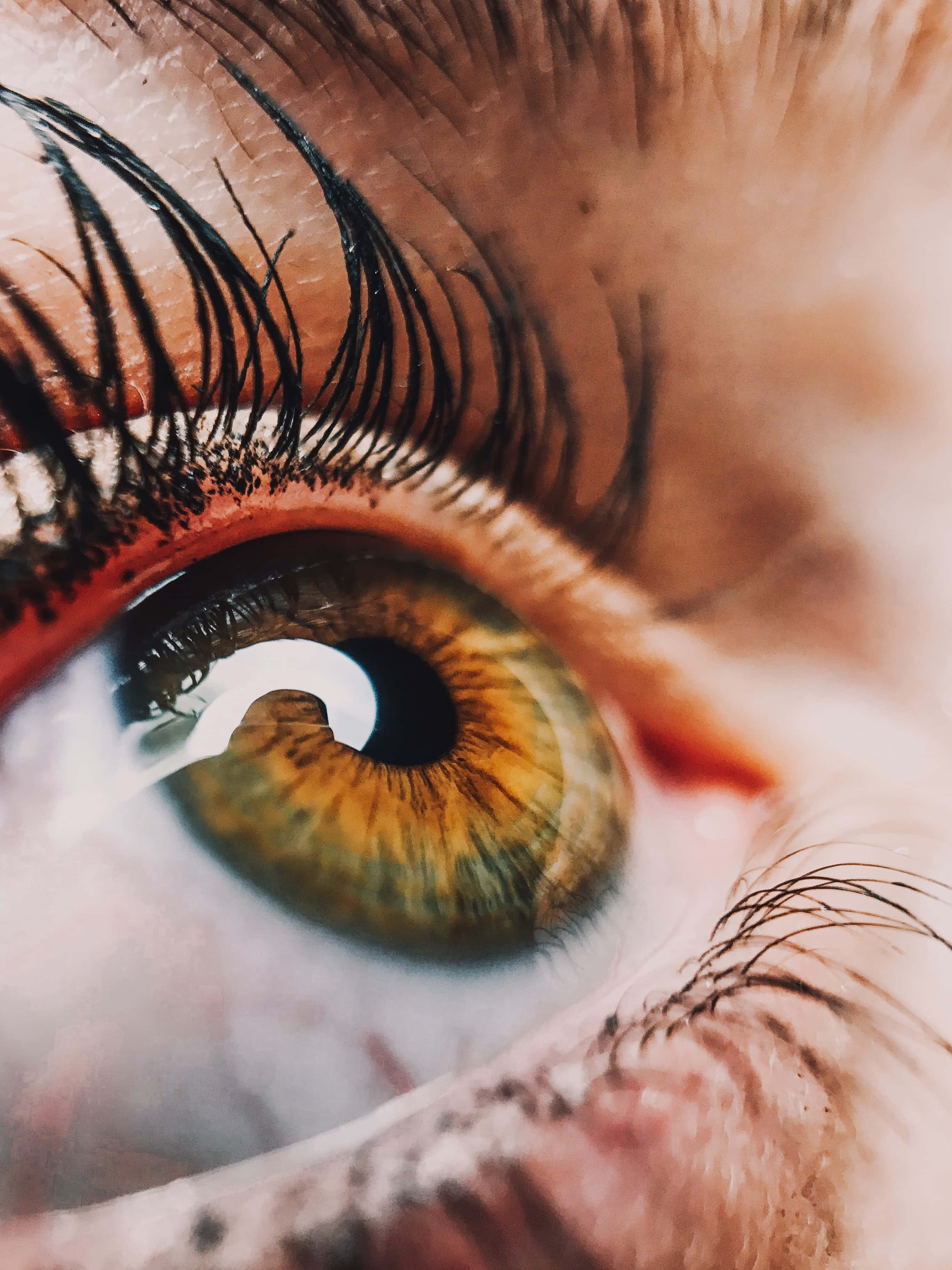 Eyes 桌布 壁紙 — 超寫實特寫人類眼睛，虹膜呈金棕色，長而濃密的黑色睫毛，襯托柔軟膚色。