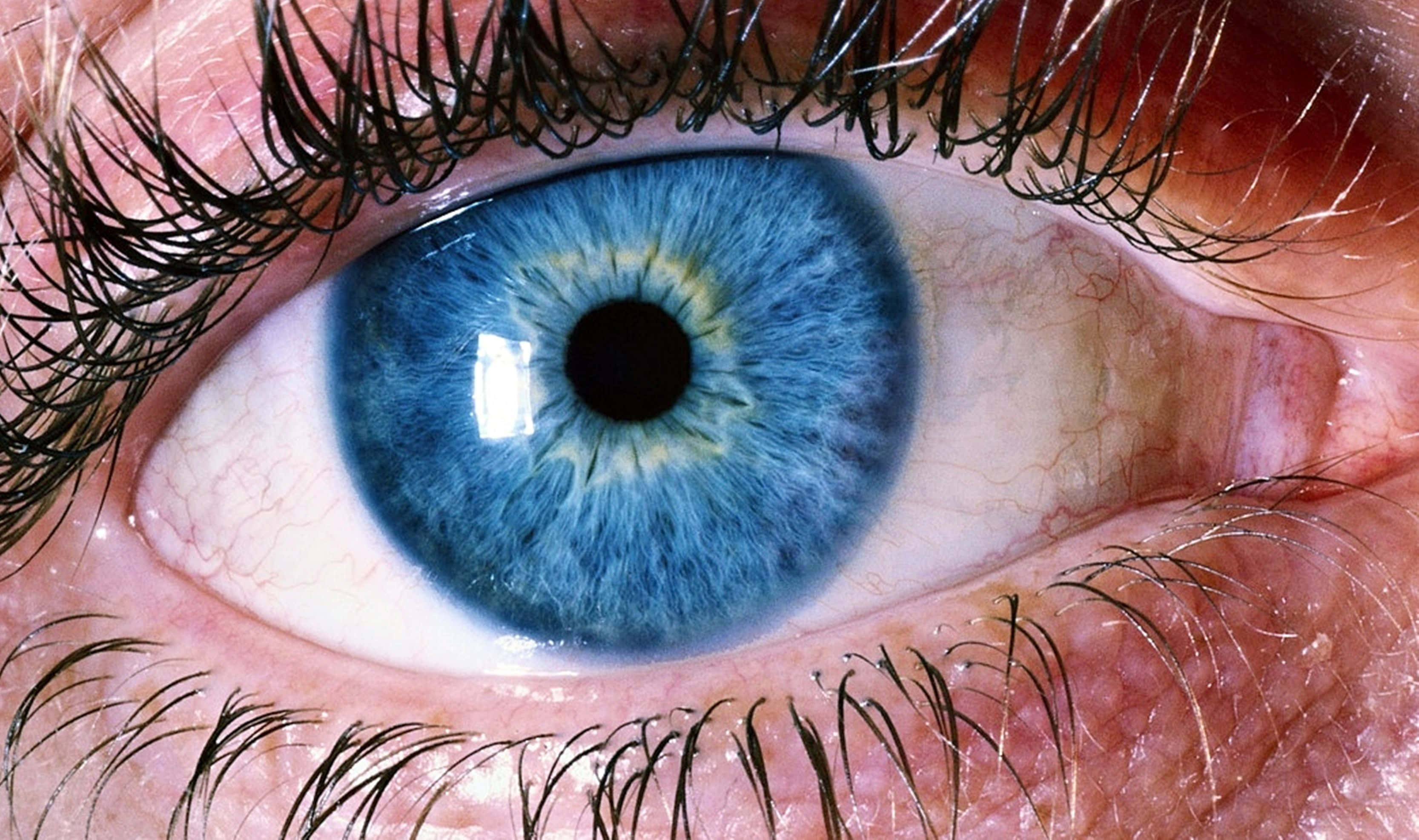 Eyes 桌布 壁紙 — 超現實特寫鏡頭，呈現一隻鮮藍色的人類眼睛，虹膜紋理細緻，睫毛長而濃黑。