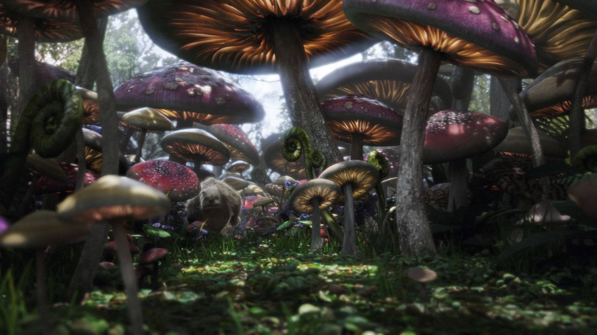wonderland 桌布 壁紙 — 超現實的森林地面，充滿了在斑駁陽光下柔和發光的巨大彩色蘑菇。