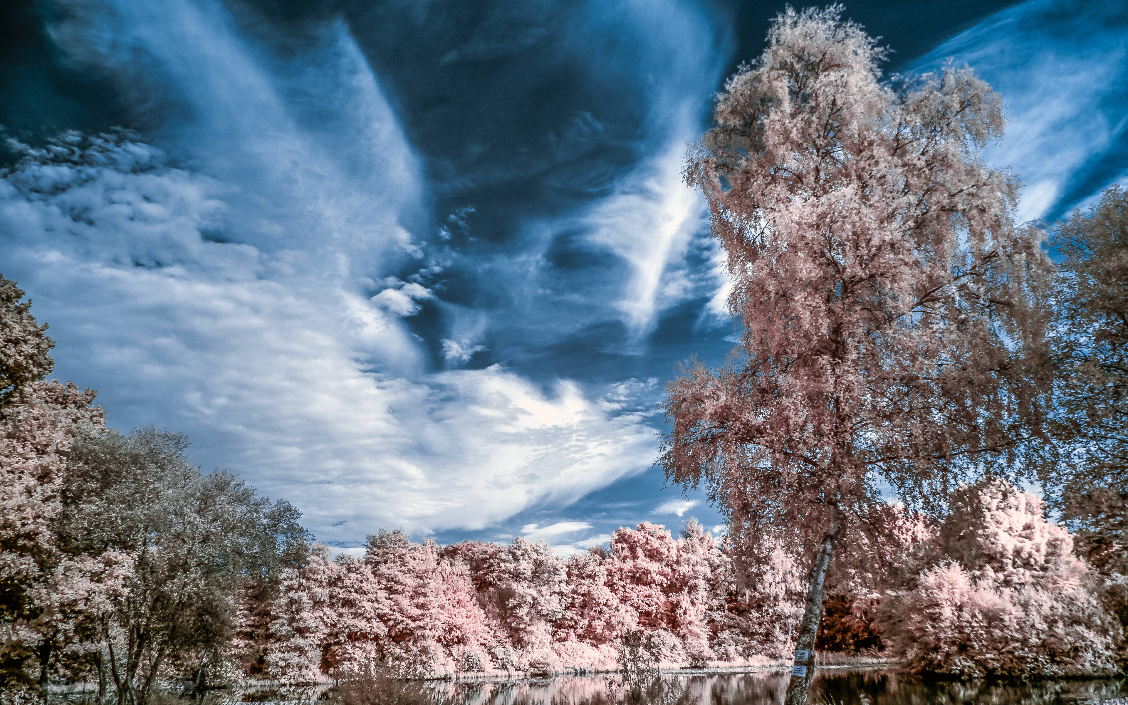 天空景色 桌布 壁紙 — 超現實的紅外線風景，粉紅色的樹木和深藍色的雲朵倒映在平靜的水面上。