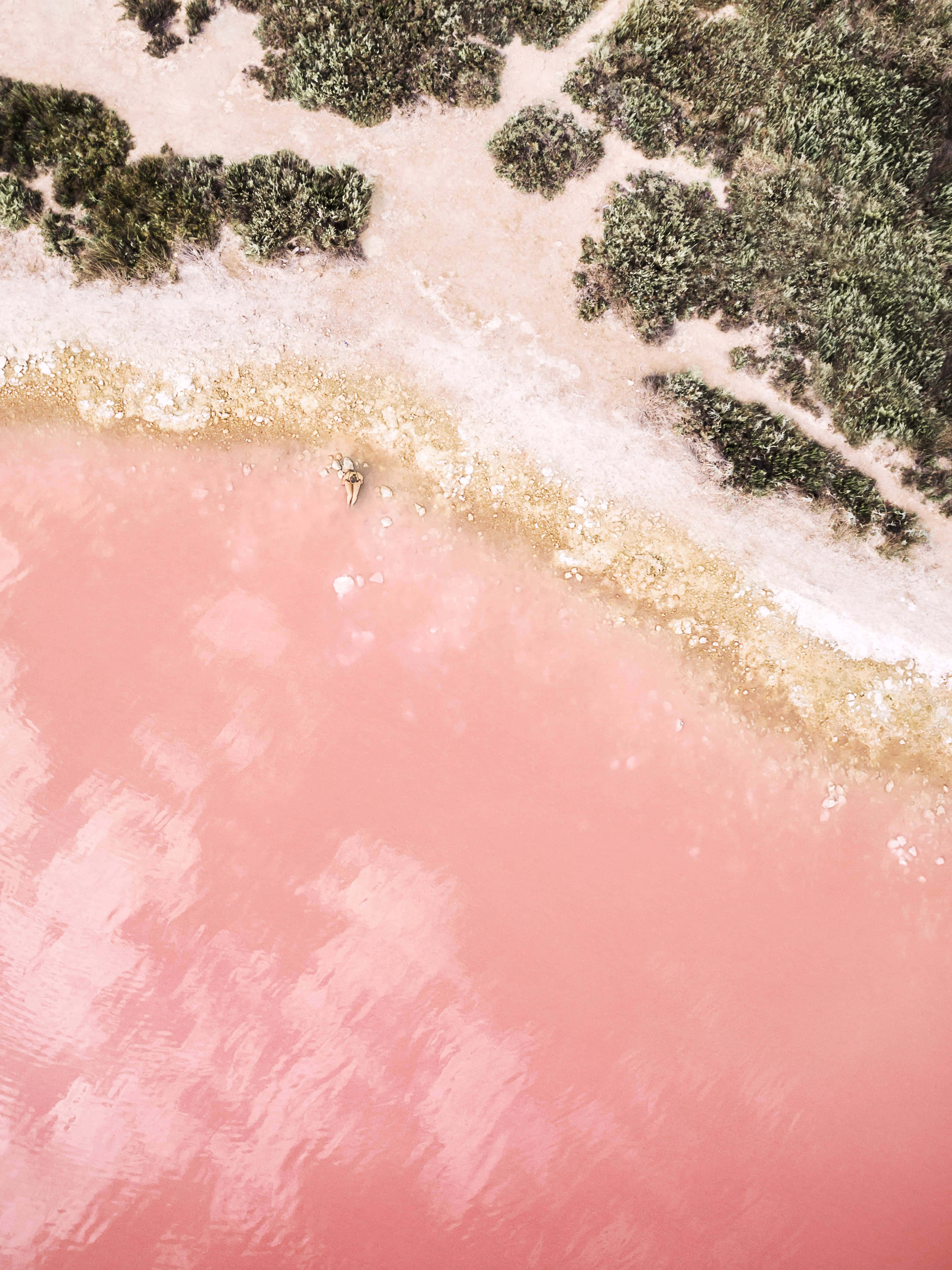 Pink iPad Pro 桌布 壁紙 — 超現實粉紅色鹽湖的鳥瞰圖，周圍環繞著綠色灌木和白色鹽殼。