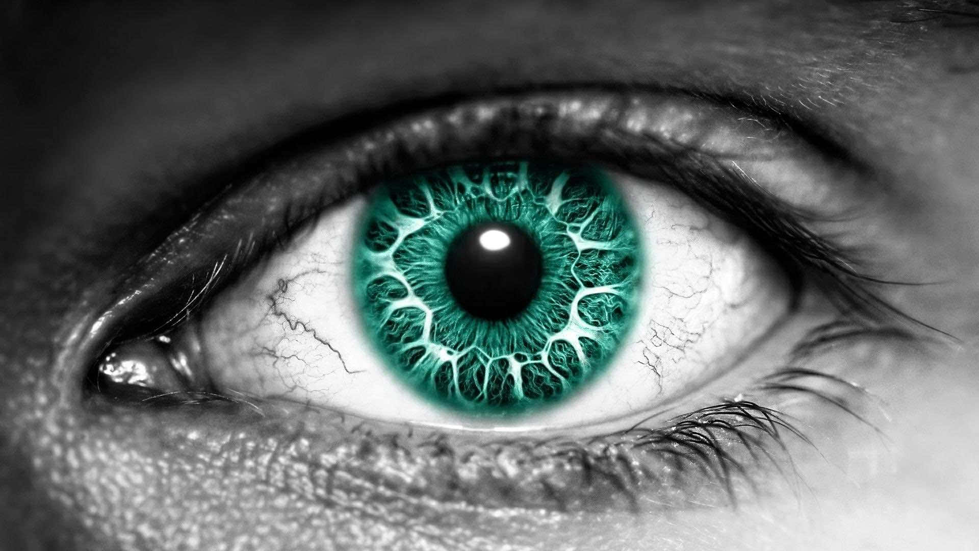 Eye 桌布 壁紙 — 超詳細特寫人類眼睛，帶有充滿活力的藍綠色虹膜，對比單色皮膚和睫毛。