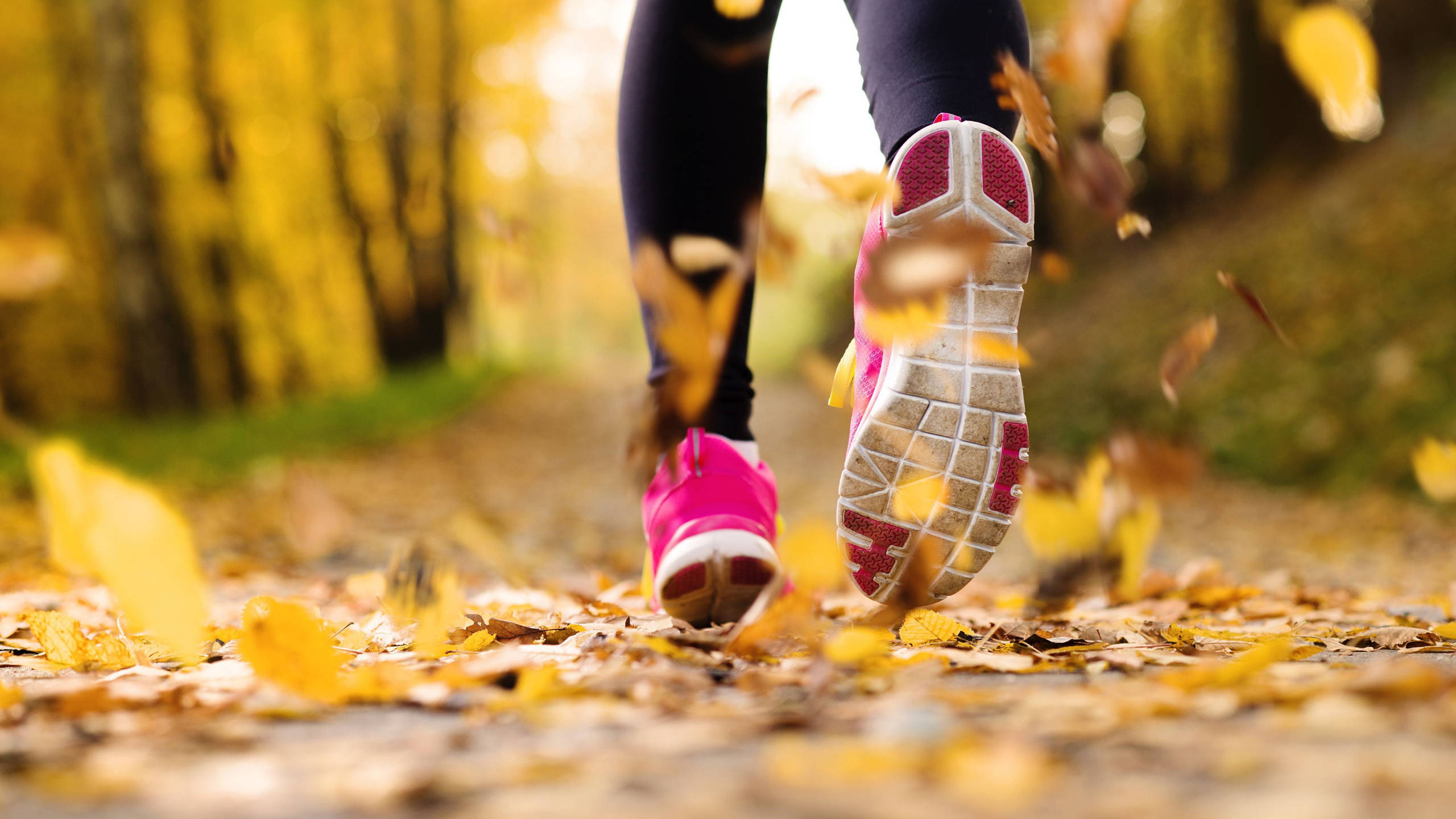 Running 桌布 壁紙 — 跑者亮粉紅色的運動鞋在森林小徑上踢起金黃色的秋葉。