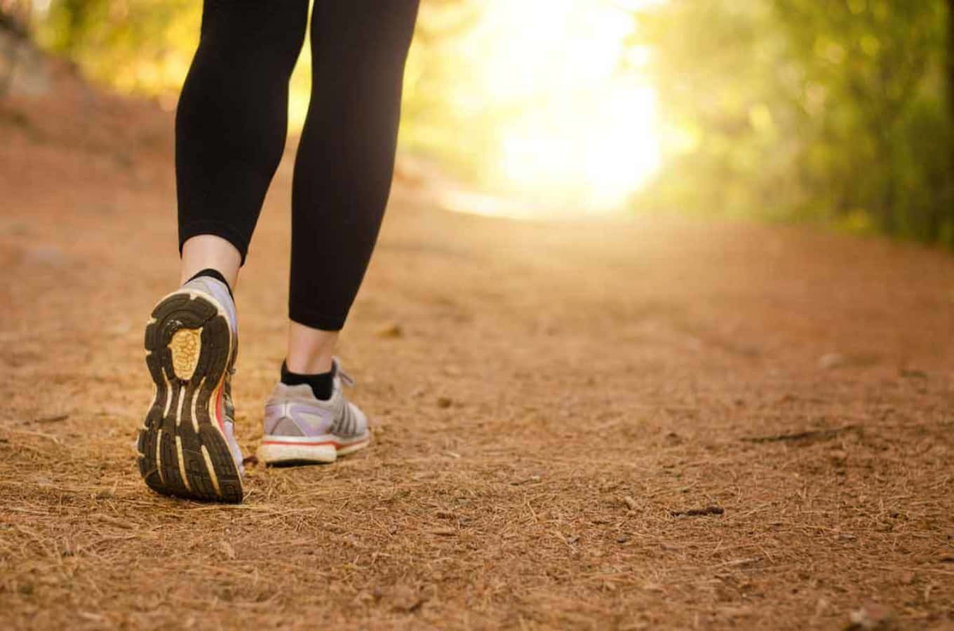 Walking 桌布 壁紙 — 跑者穿著運動鞋的腳部特寫，在灑滿陽光的松針覆蓋森林小徑上向前邁步。