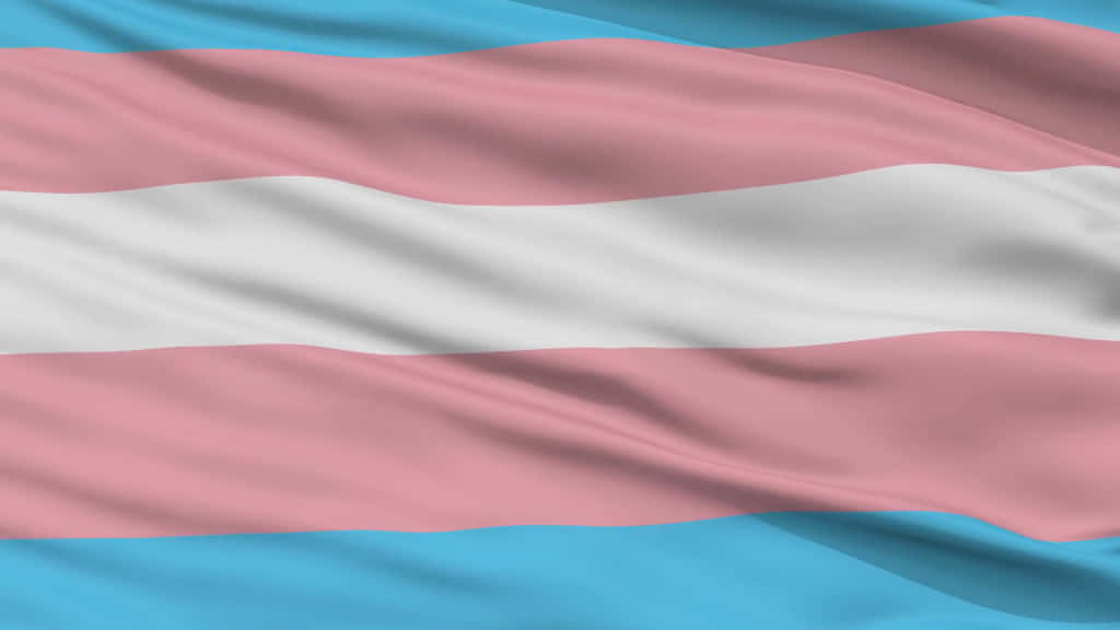 Trans Flag 桌布 壁紙 — 跨性別旗幟隨風飄揚的特寫，柔軟的布料褶皺展現出淺藍色、粉紅色和白色的條紋。