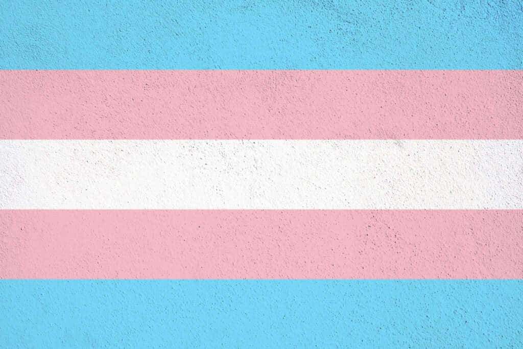 transgender 桌布 壁紙 — 跨性別驕傲旗以淺藍色、粉紅色和白色的粗條紋繪製在紋理混凝土牆上。