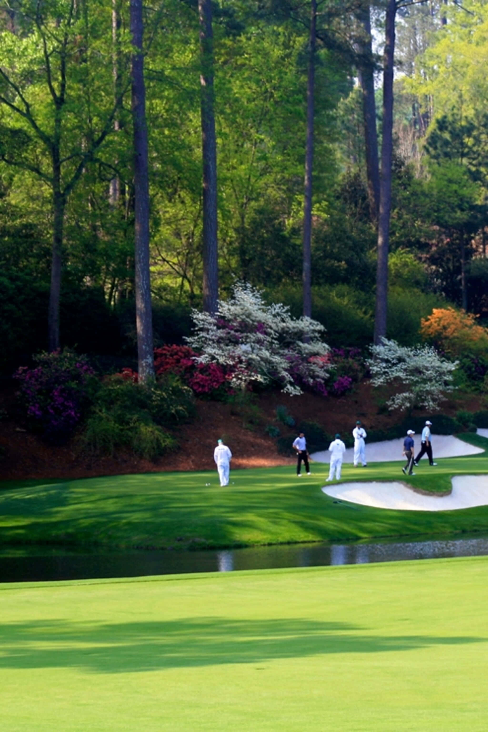 Augusta National iPhone 桌布 壁紙 — 身穿白色服裝的高爾夫球手在明亮的陽光下，沿著兩旁高聳樹木和鮮豔花叢的翠綠球道前進。