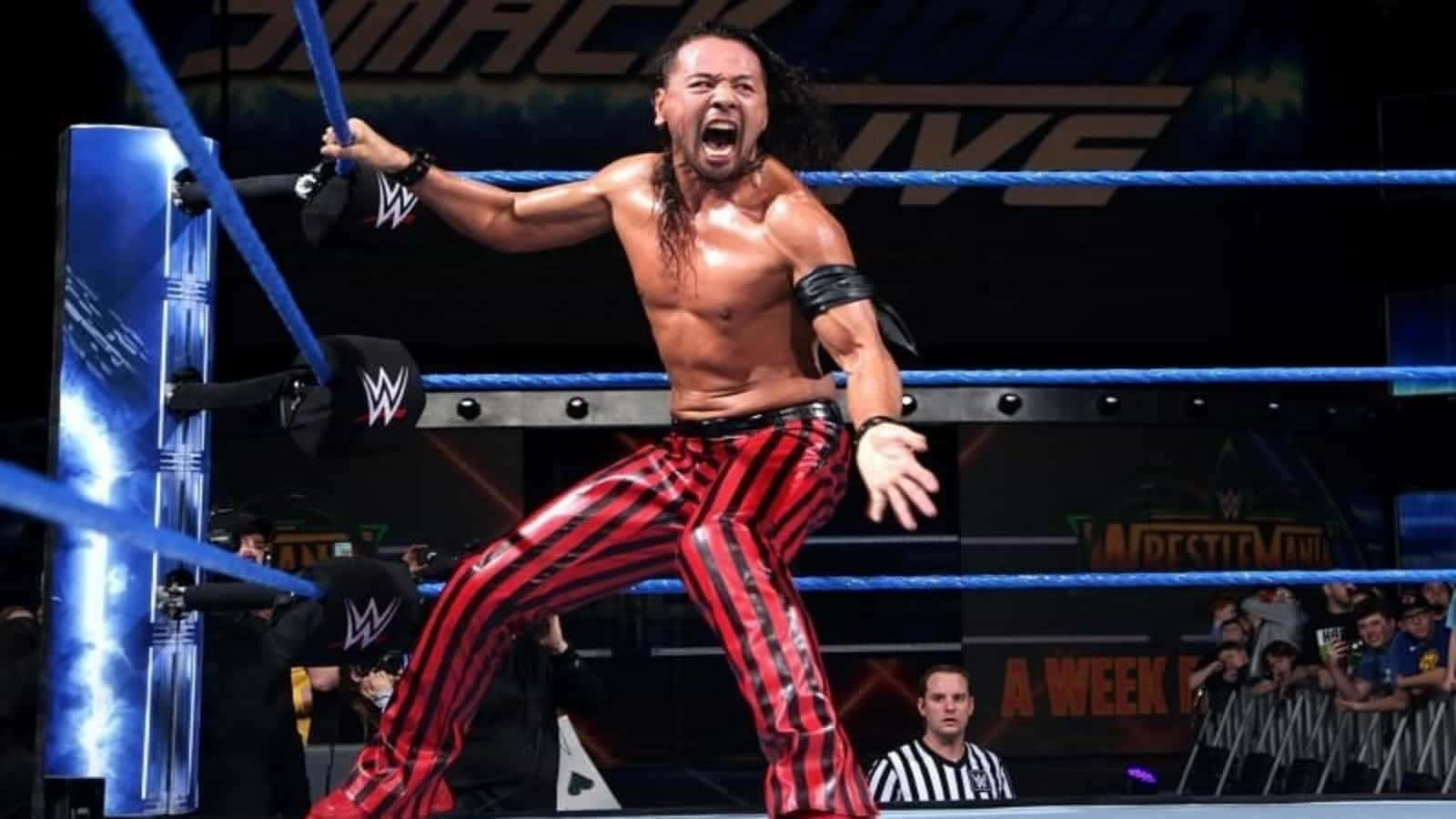 WWE 桌布 壁紙 — 身穿紅色條紋褲的摔角手在藍色繩索和背景人群的WWE擂台上勝利咆哮。