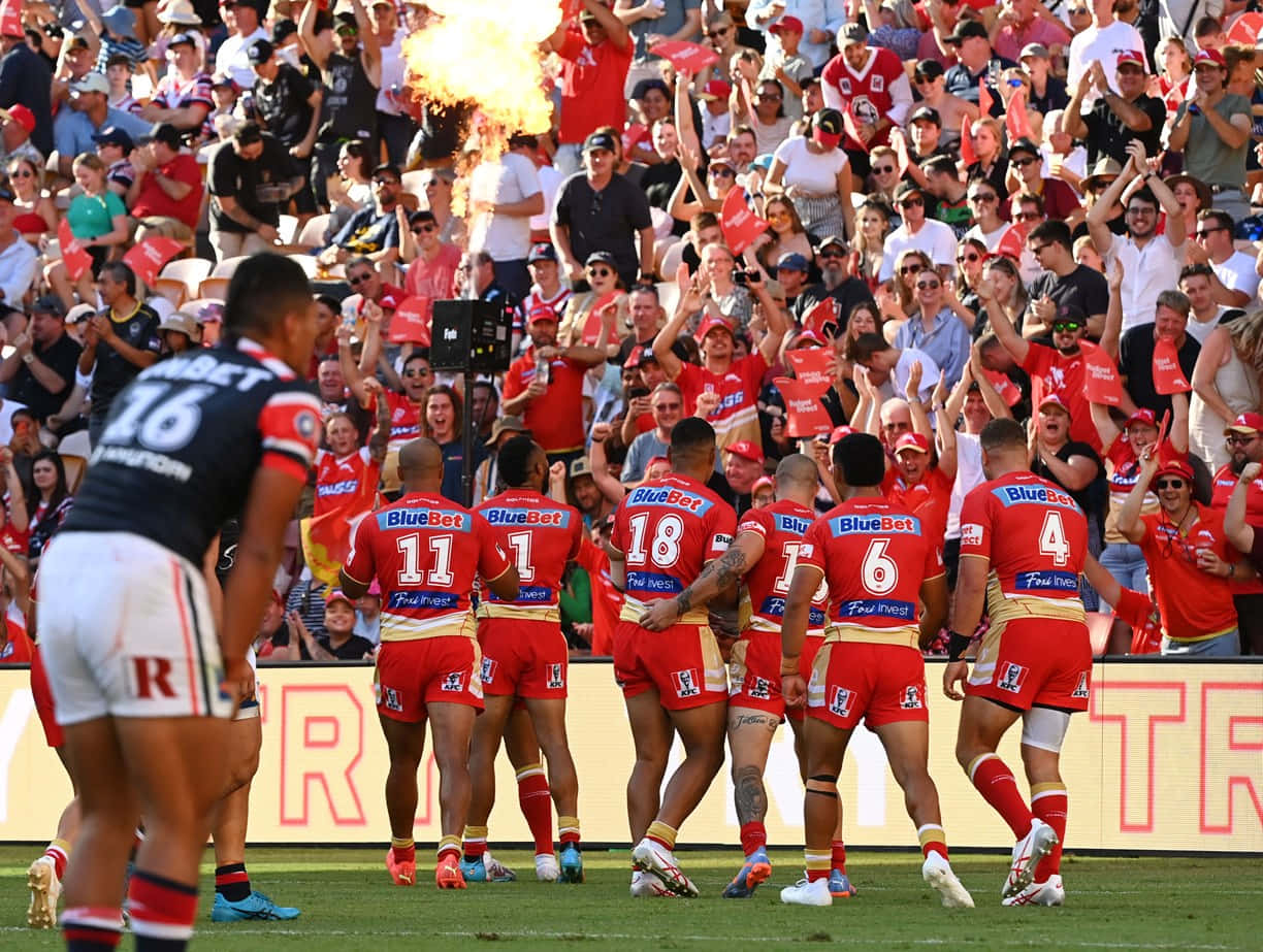 Dolphins Nrl 桌布 壁紙 — 身穿紅色球衣的橄欖球聯賽球員在場上聚攏，人群歡呼，背後煙火爆炸。